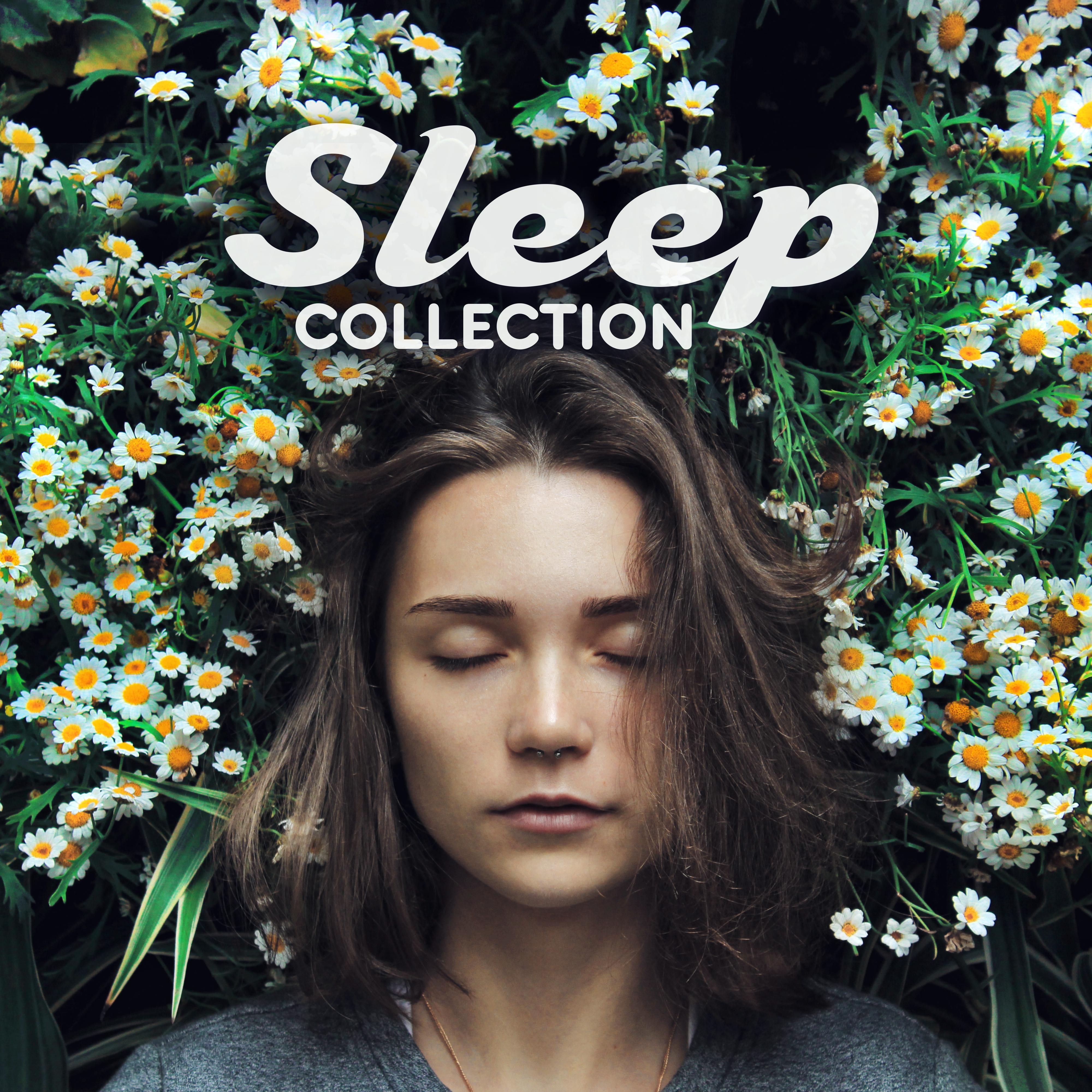 Sleep Collection  Sounds of Nature for Relaxation, Meditation, Calm Sleep, Spa, Zen Louge, Inner Harmony, Nature Music, Deeper Sleep, Relaxing Music Therapy