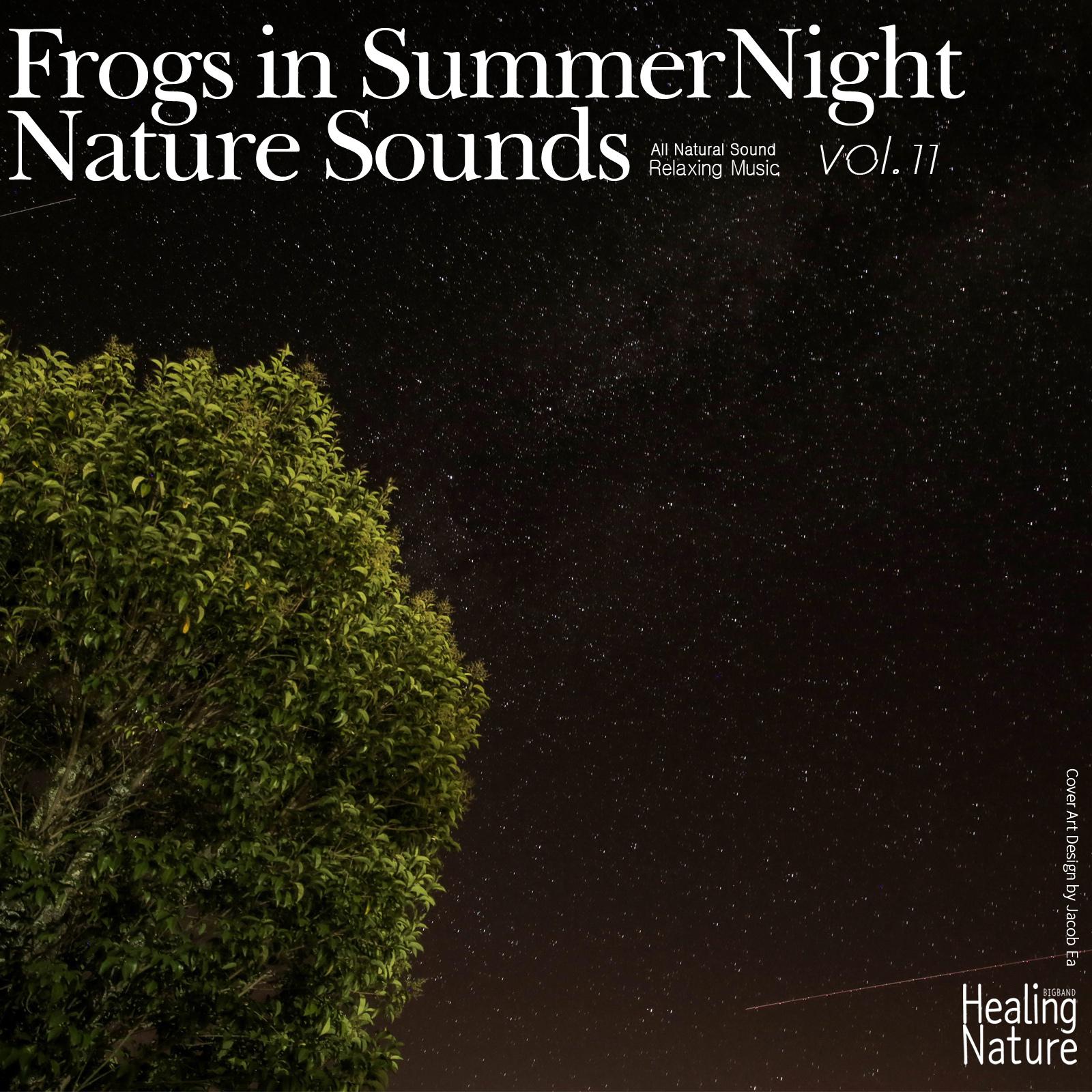 Frogs in Summer Night Nature Sounds, Vol.11