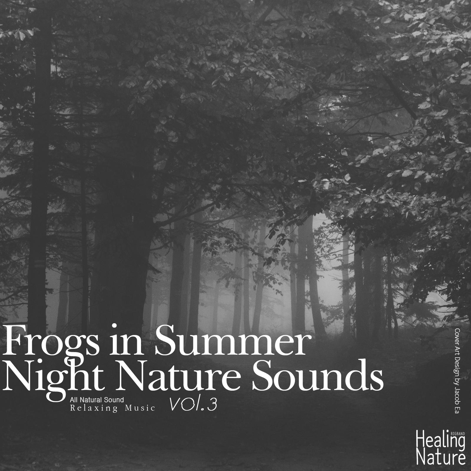 Frogs in Summer Night Nature Sounds, Vol.3