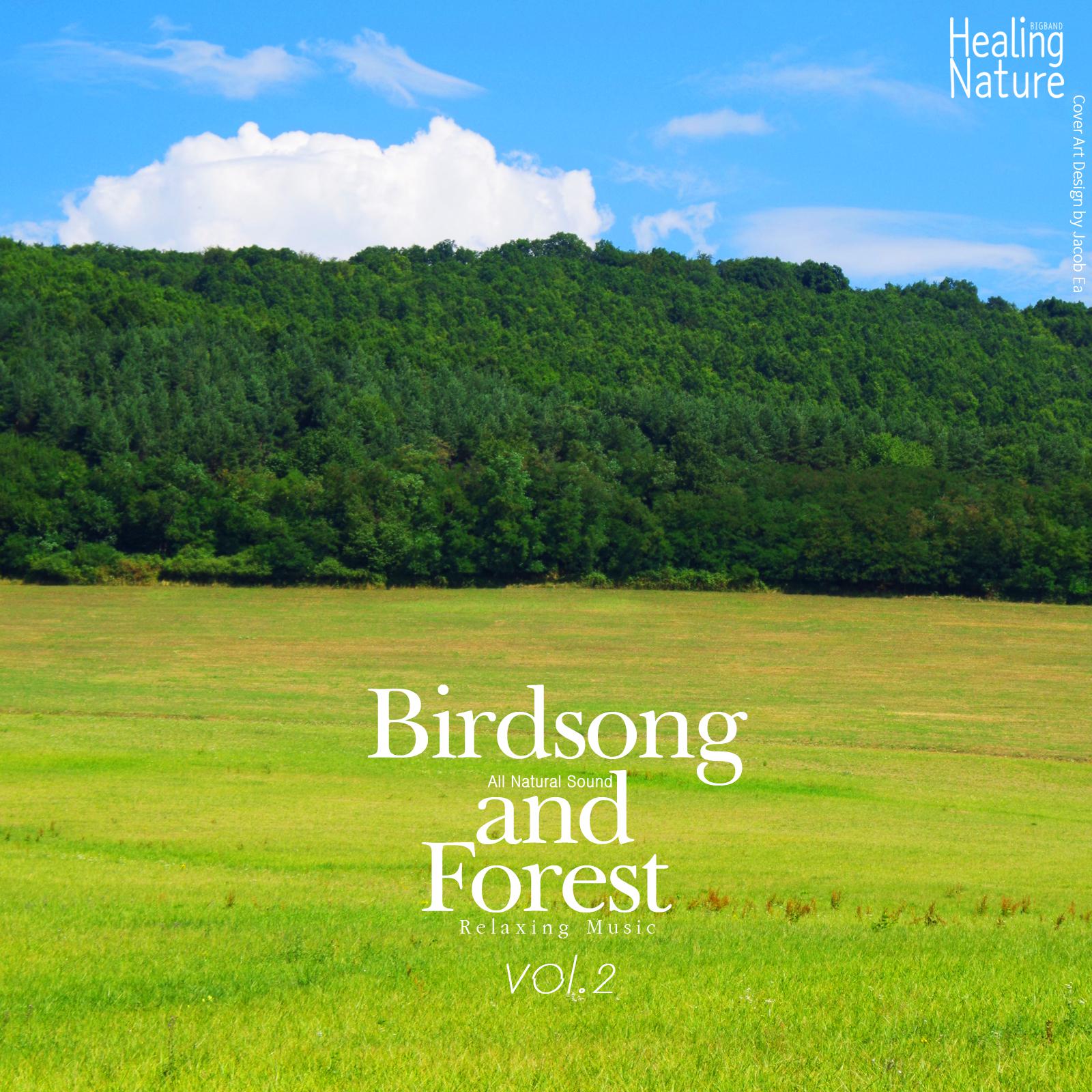 Birds and Forest Sound 3