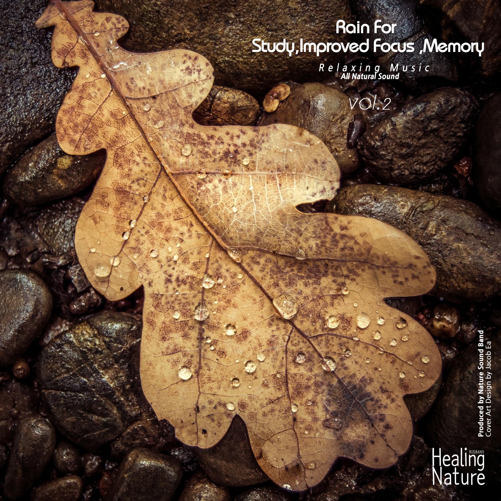 Rain for Study,Improved Focus,Memory, Vol. 2