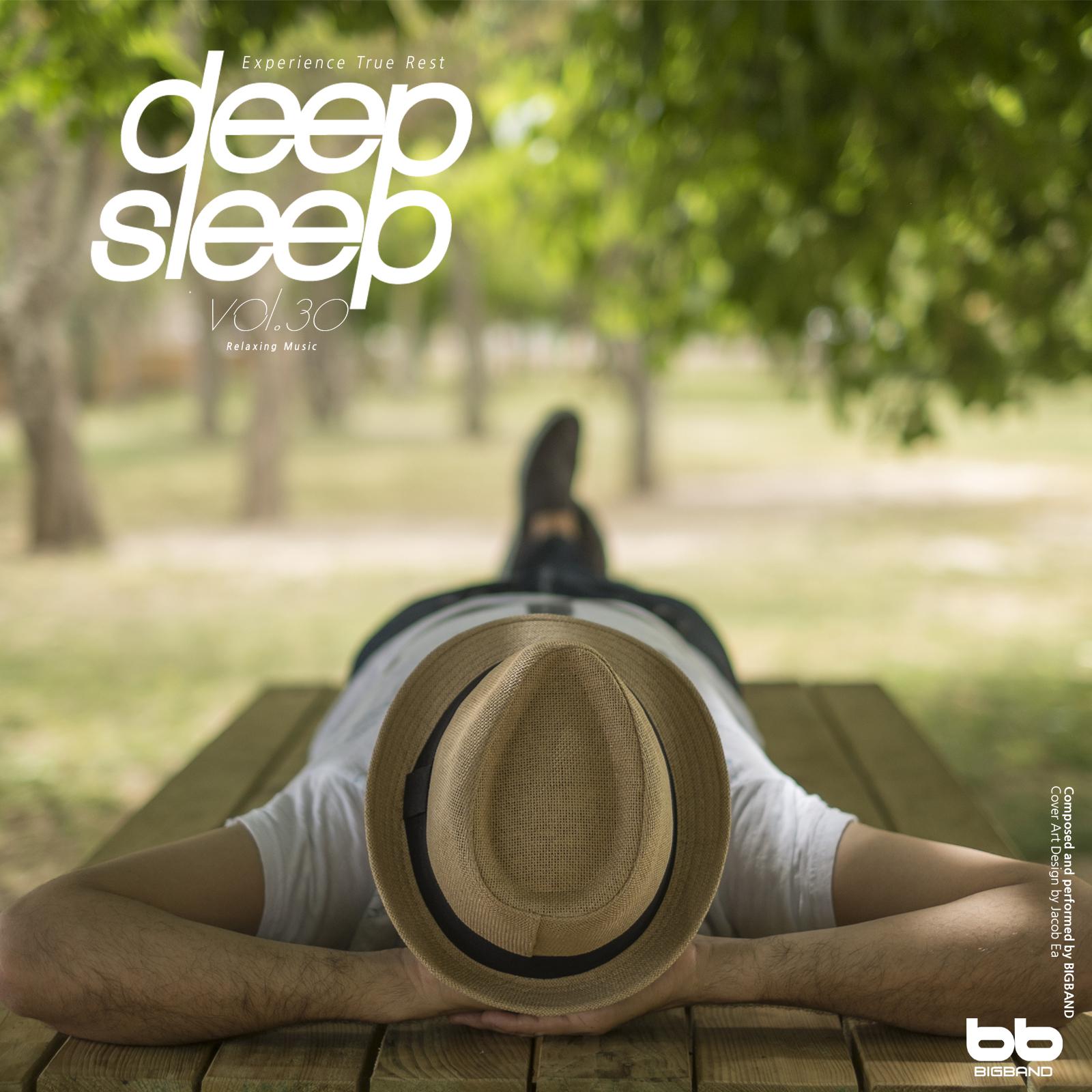 Deep Sleep, Vol. 30