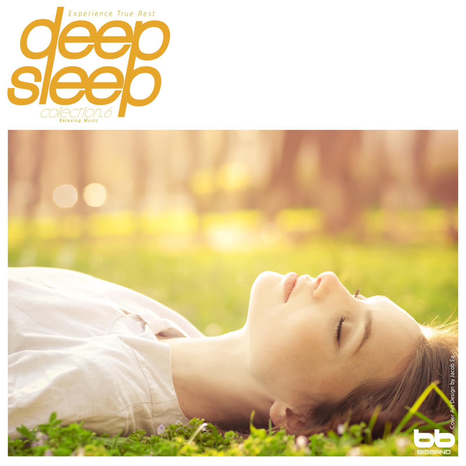 Deep Sleep, Collection. 6