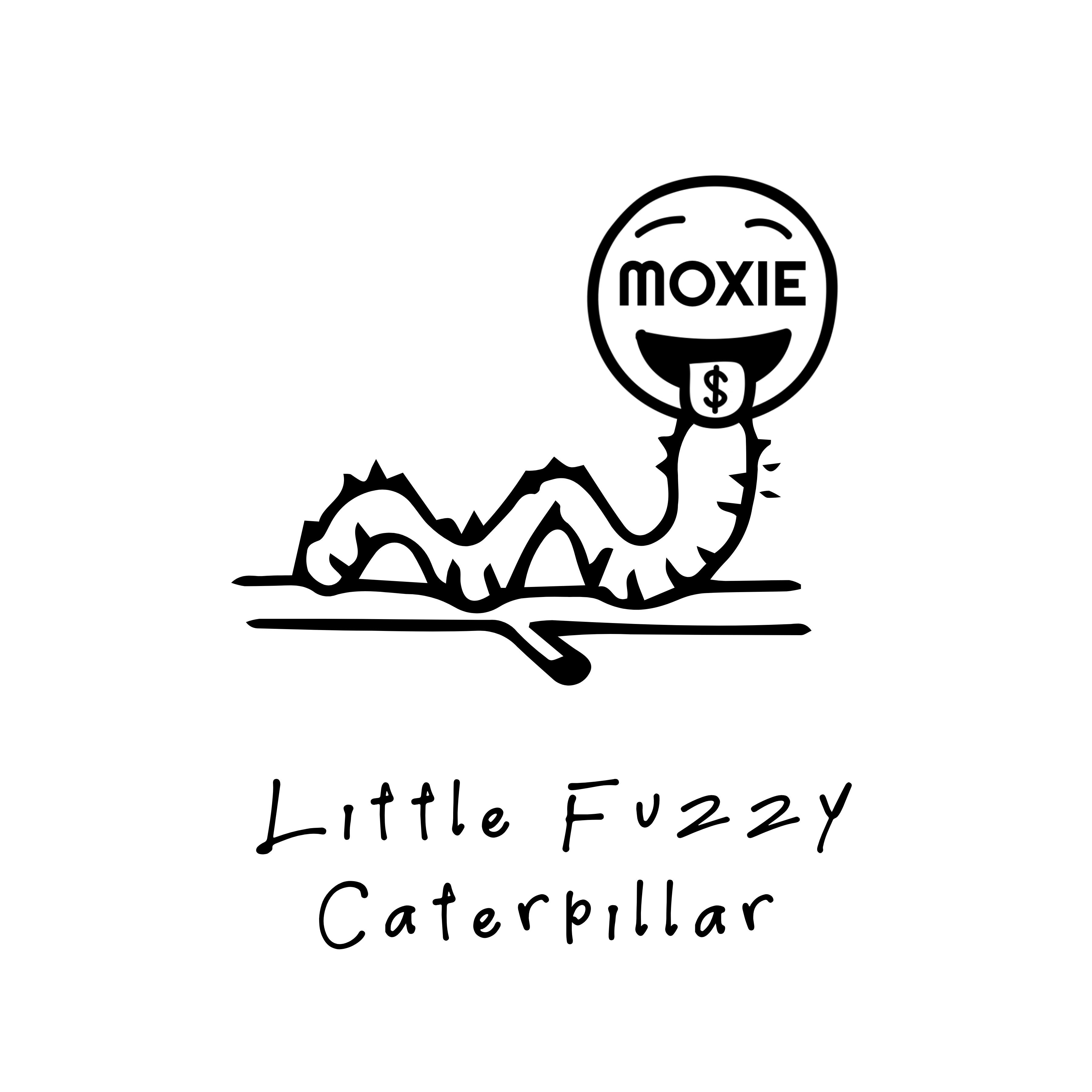 Little Fuzzy Caterpillar