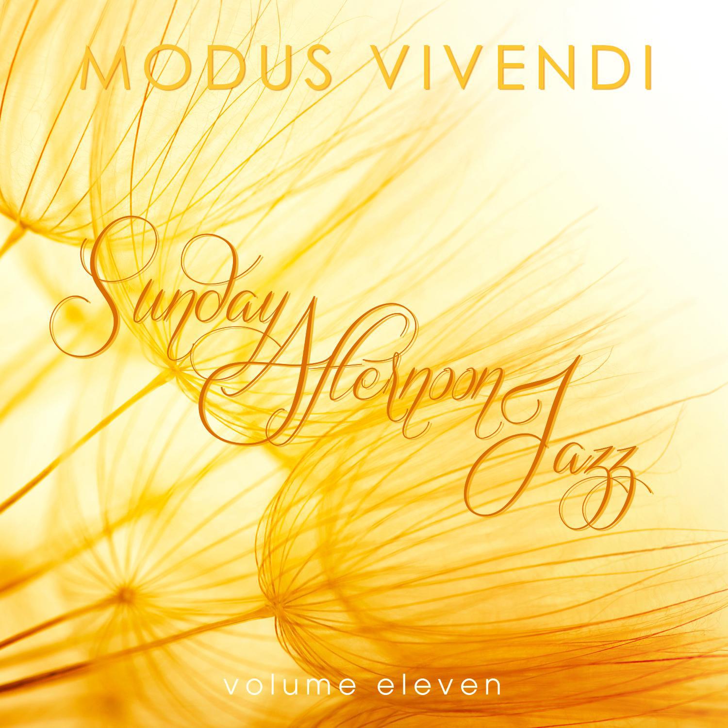 Modus Vivendi: Sunday Afternoon Jazz, Vol. 11