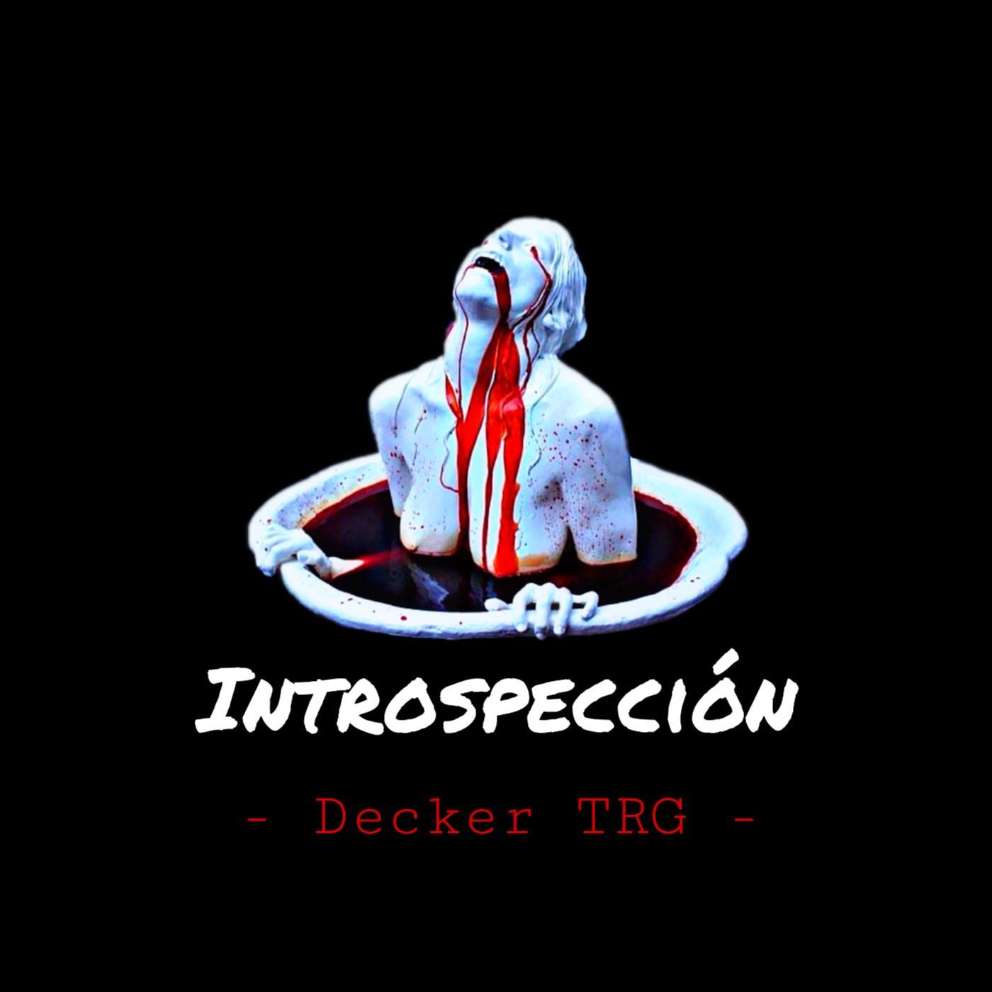 Introspeccio n