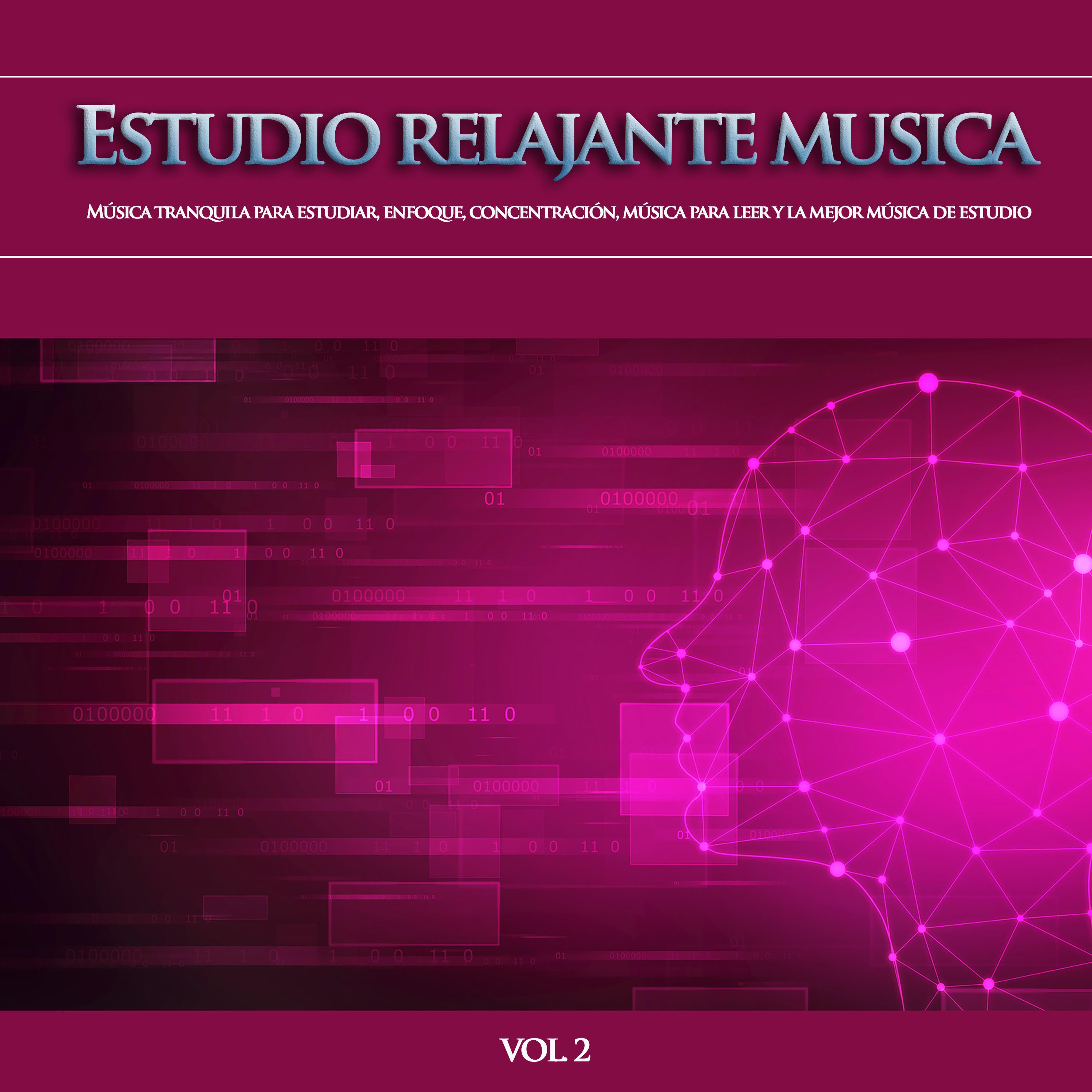 Estudio relajante musica: Mu sica tranquila para estudiar, enfoque, concentracio n, mu sica para leer y la mejor mu sica de estudio, Vol. 2