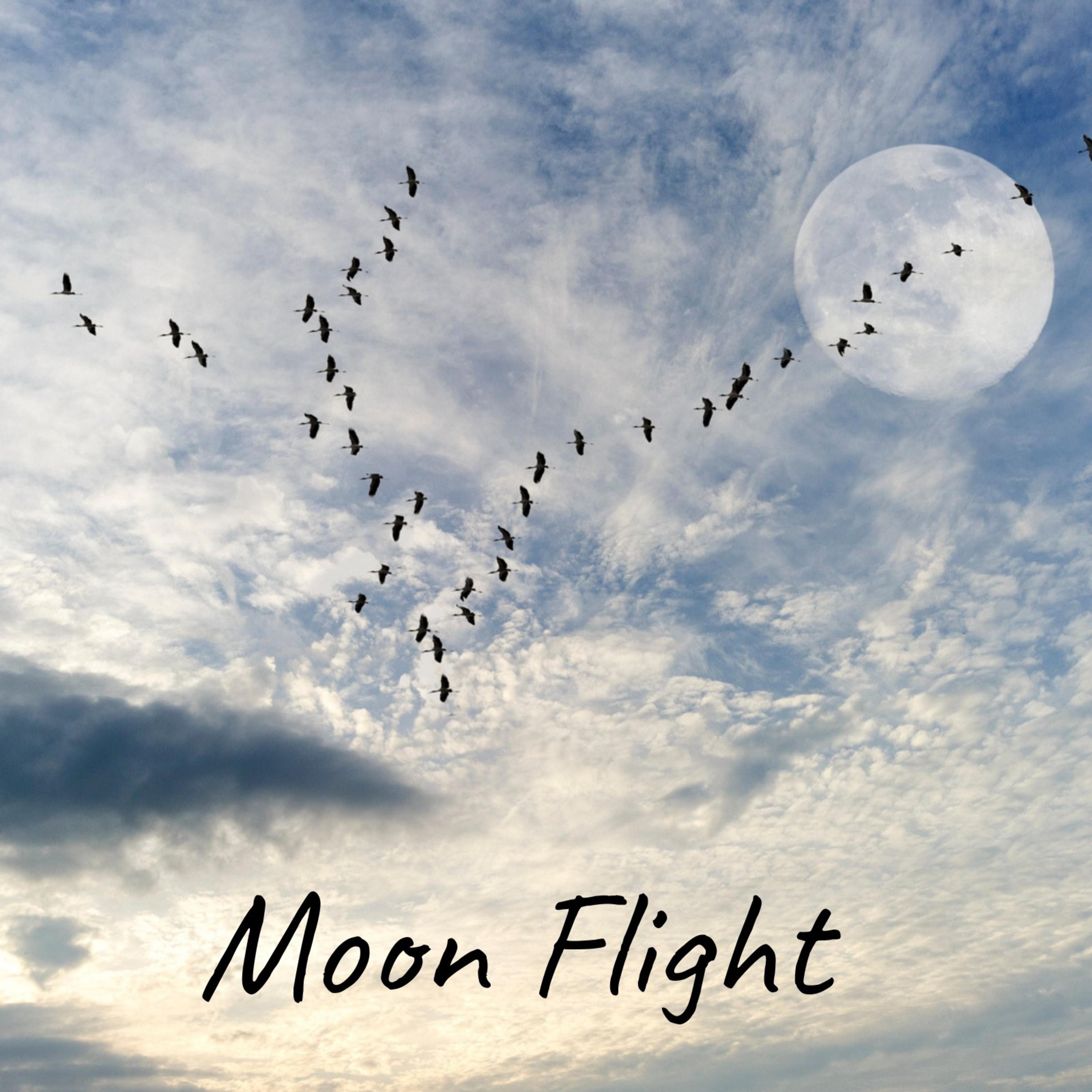 Moon Flight