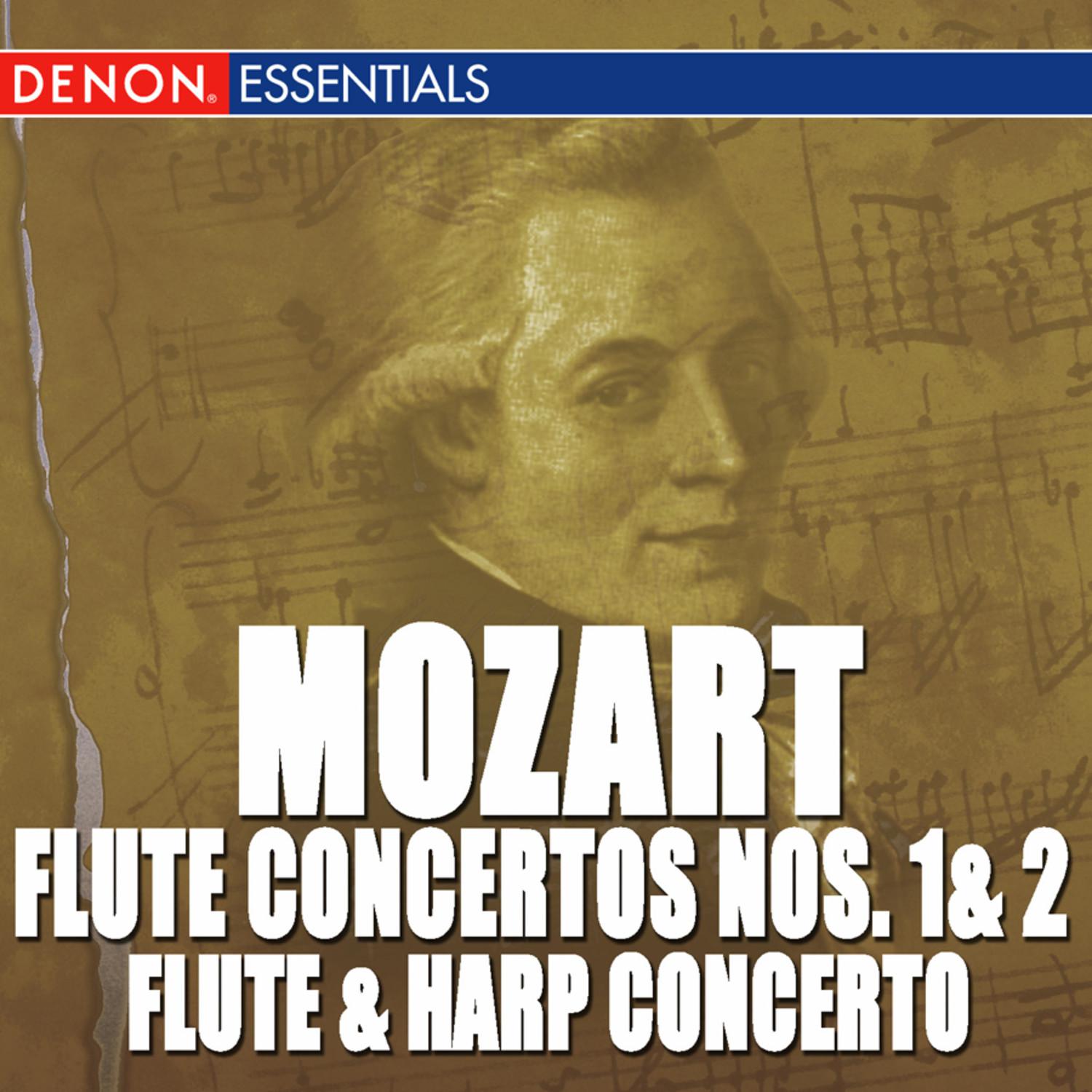 Flute Concerto No. 1 in G Major, KV. 313: II. Adagio non troppo