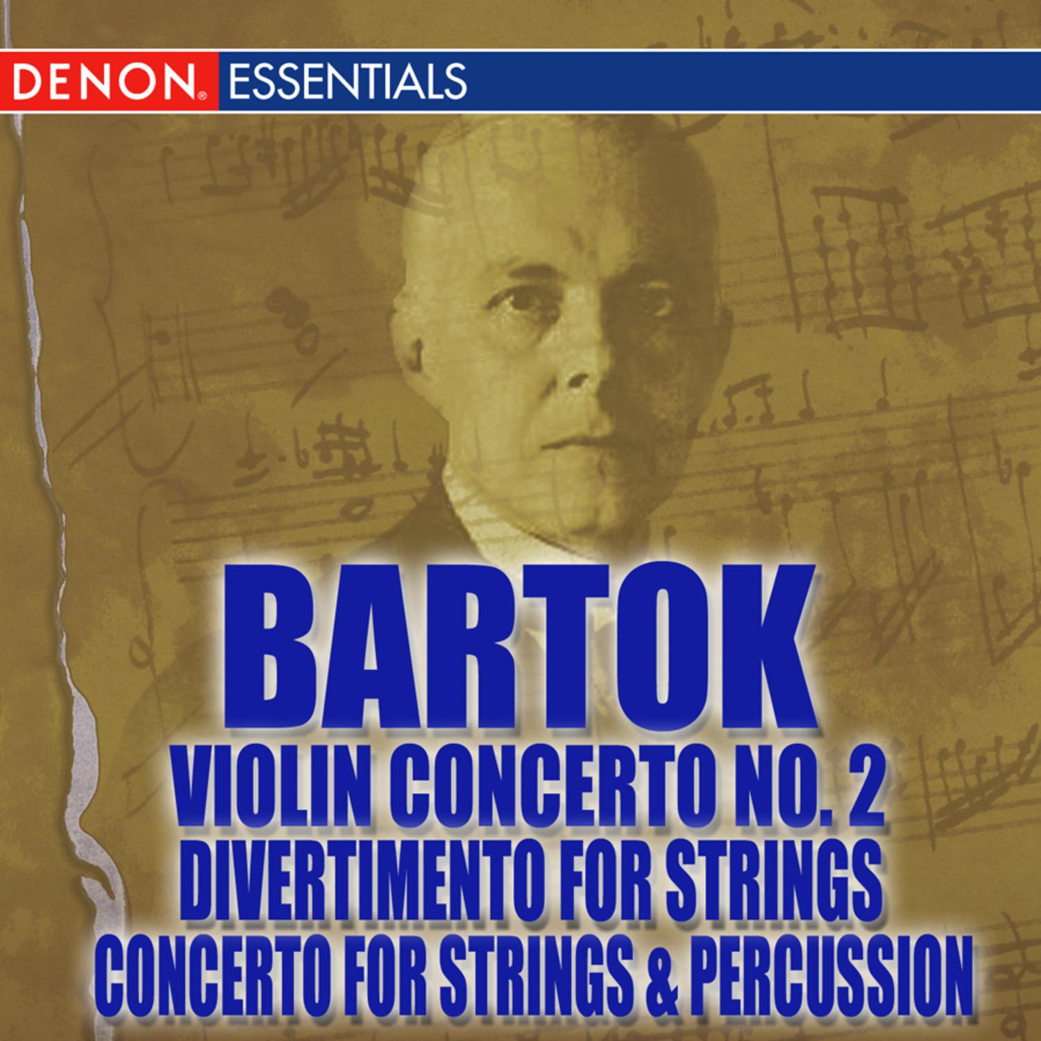 Violin Concerto No. 2 in B Minor: I. Allegro non troppo