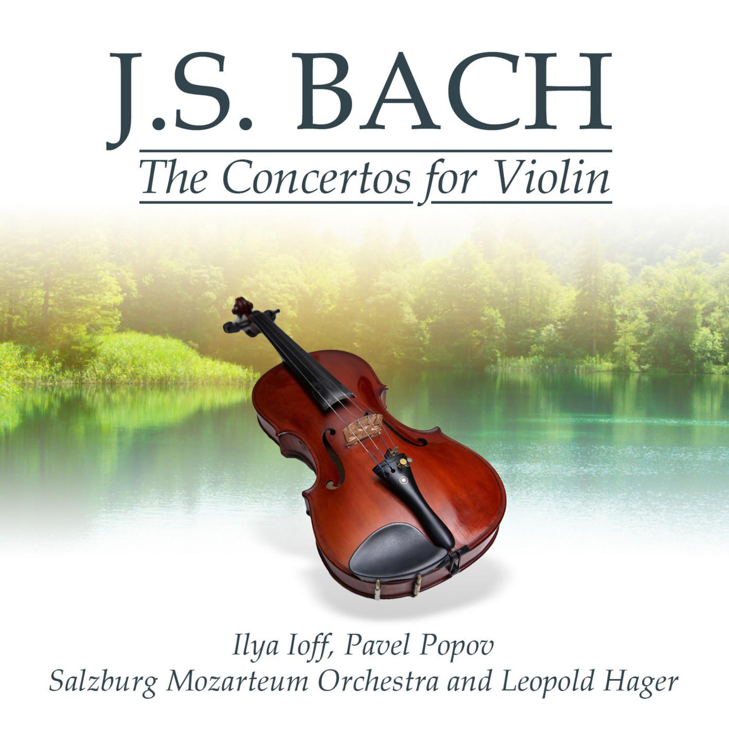 Concerto No. 1 in A Minor for Violin and Strings, BWV 1041: II. Adagio