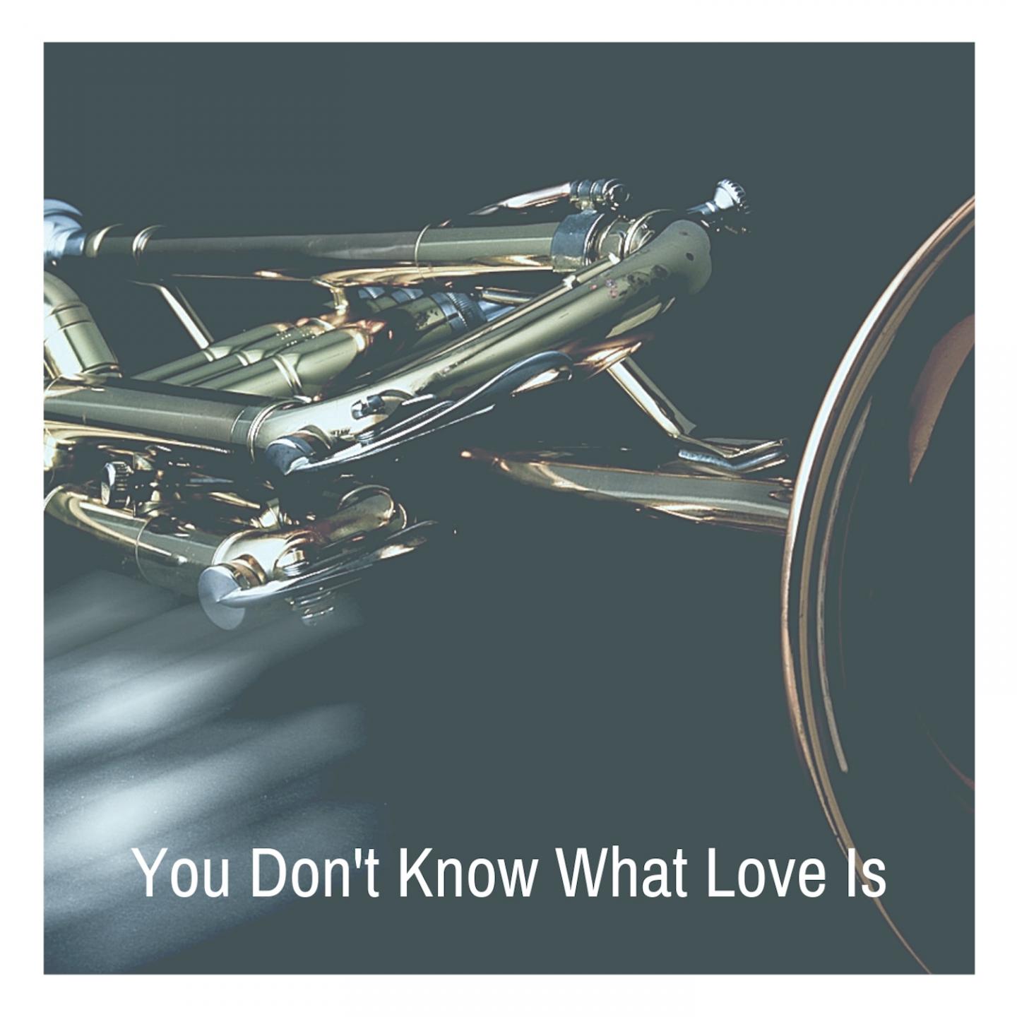 You Don't Know What Love Is