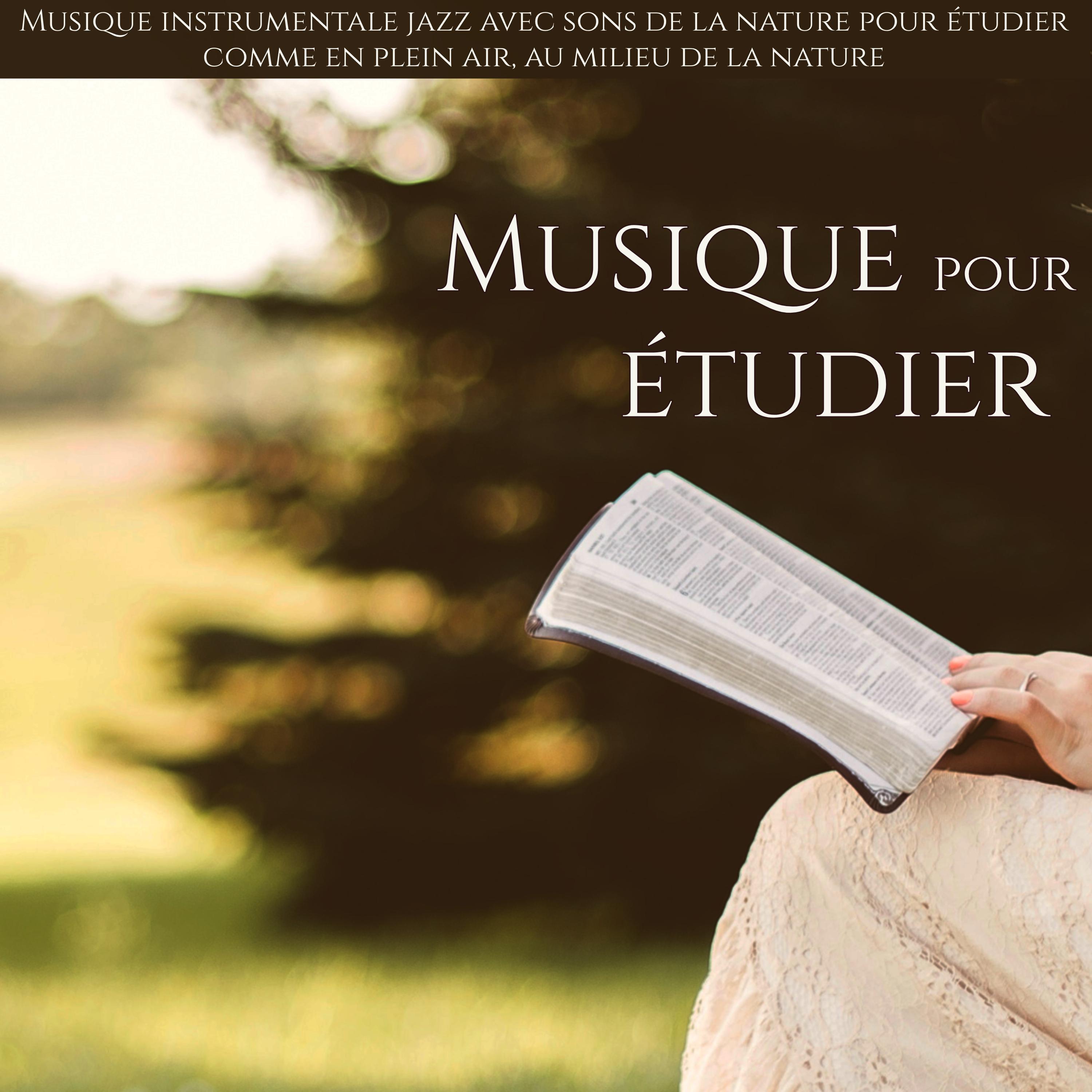 Musique pour e tudier  Musique instrumentale jazz avec sons de la nature pour e tudier comme en plein air, au milieu de la nature