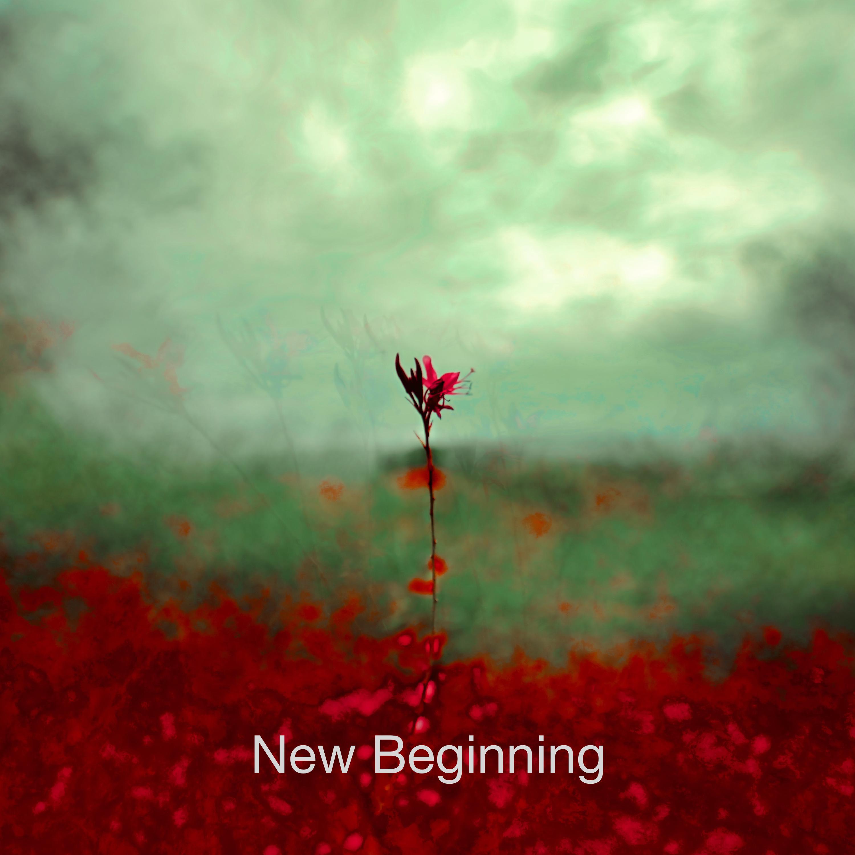 New Beginning