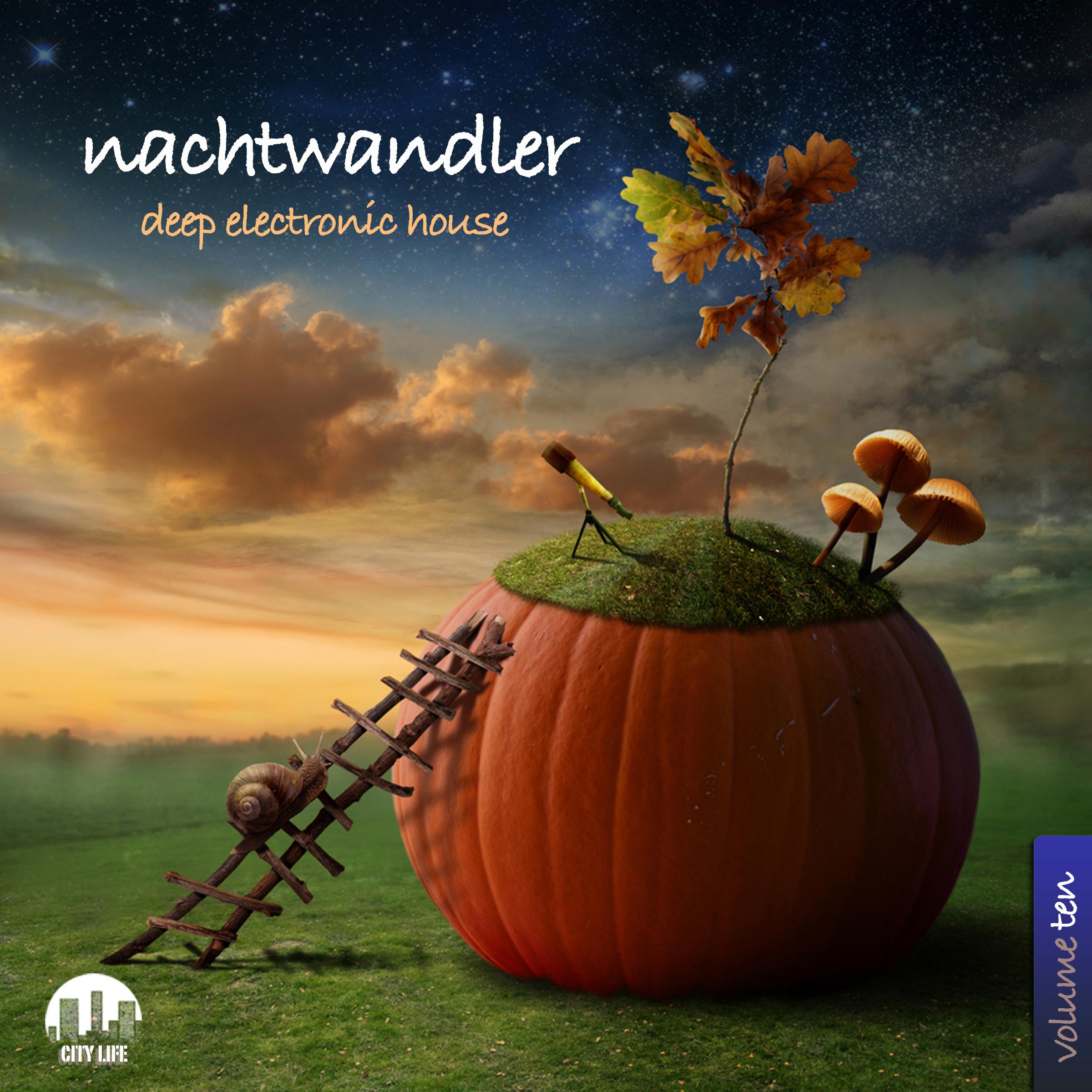 Nachtwandler, Vol. 10 - Deep Electronic House