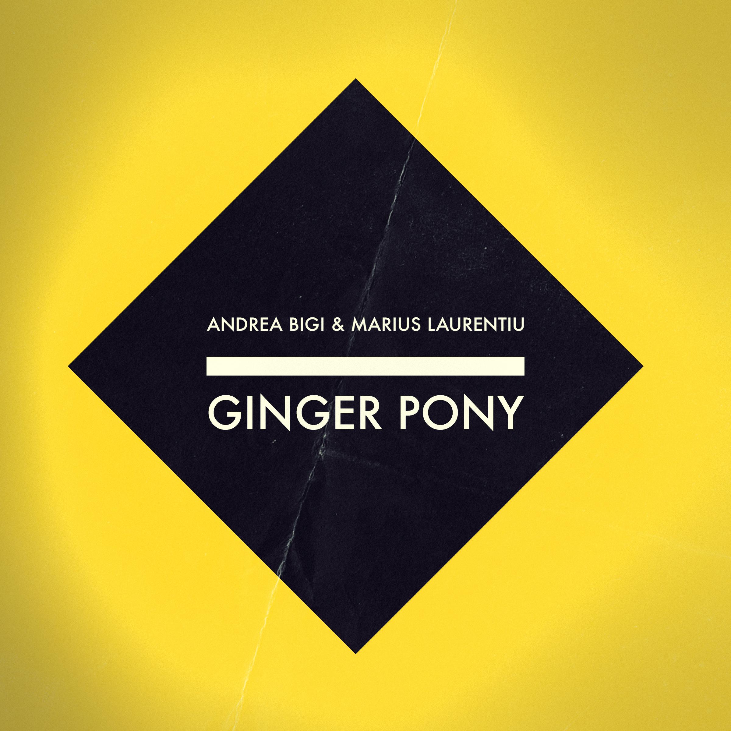 Ginger Pony