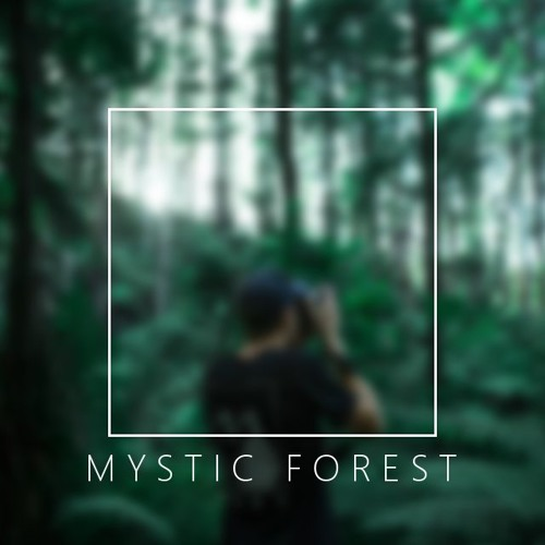 MYSTIC FOREST