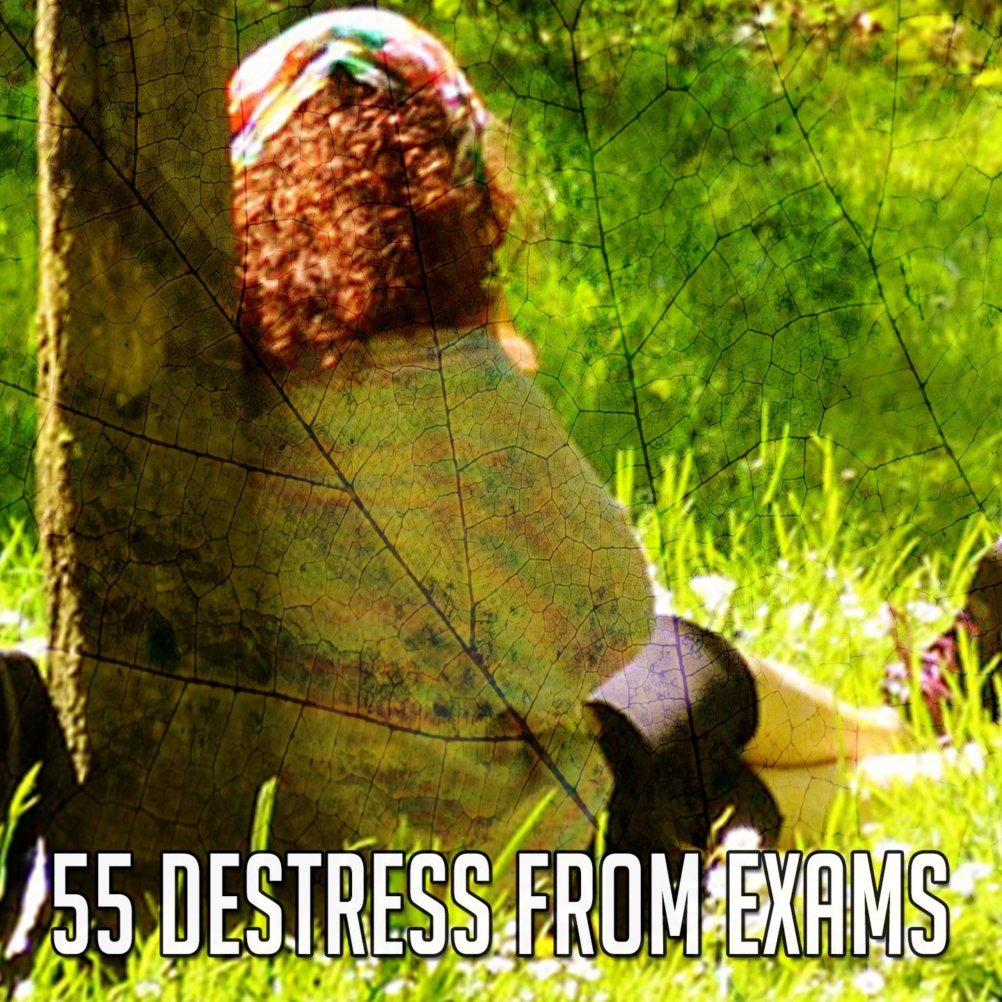 55 Destress from Exams