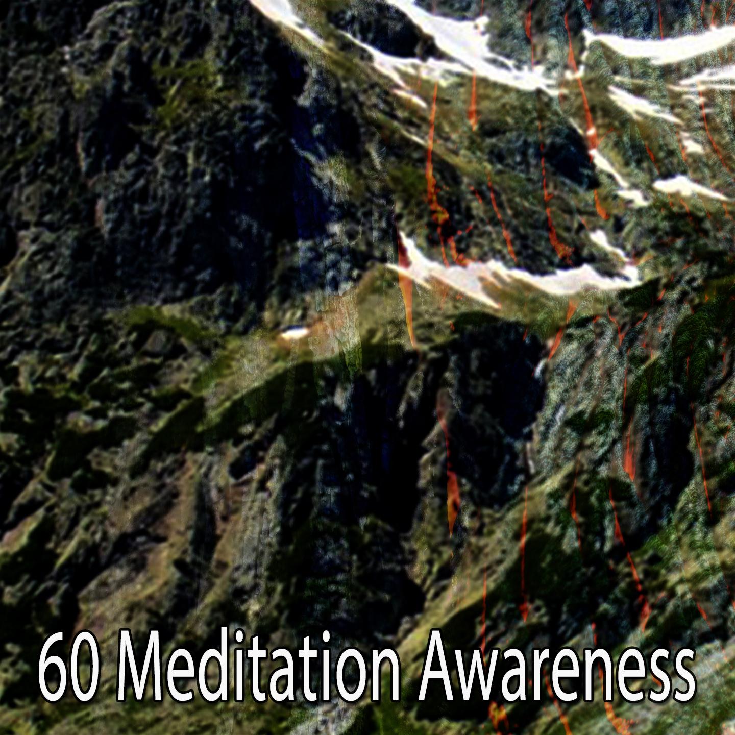 60 Meditation Awareness