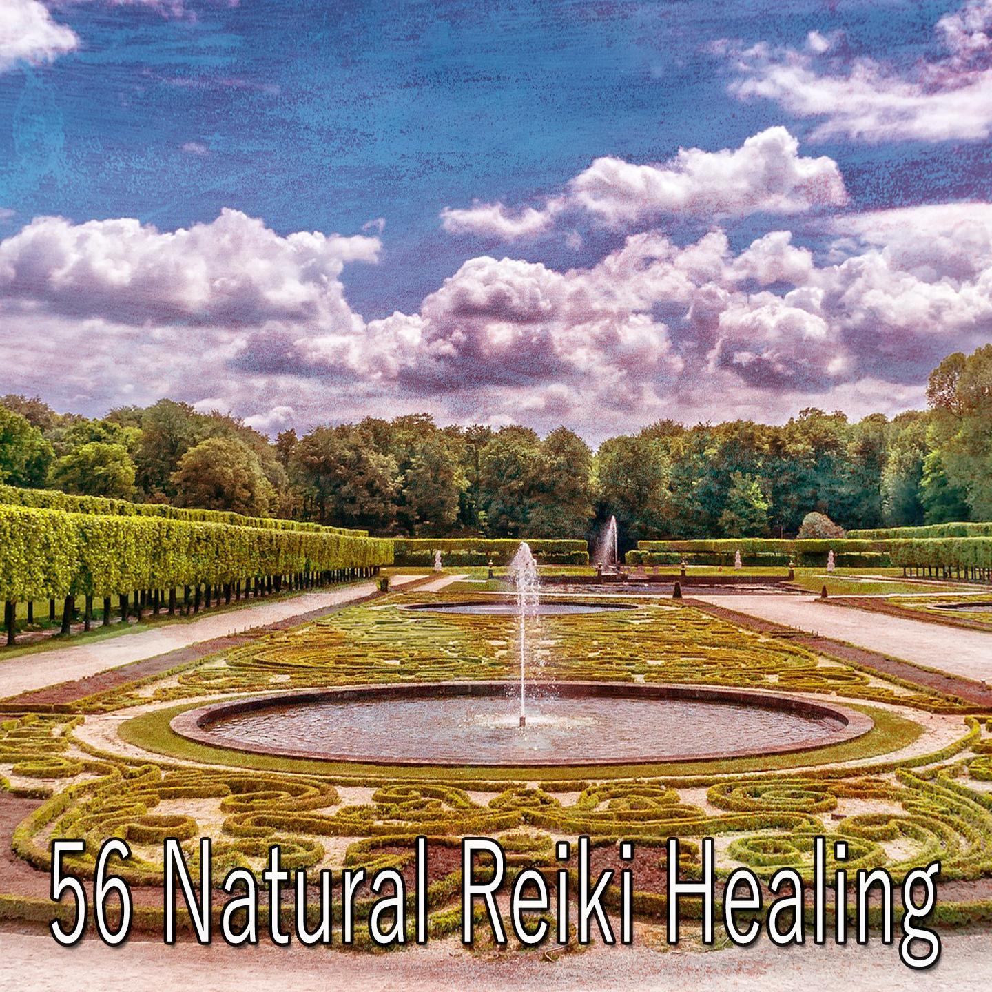 56 Natural Reiki Healing