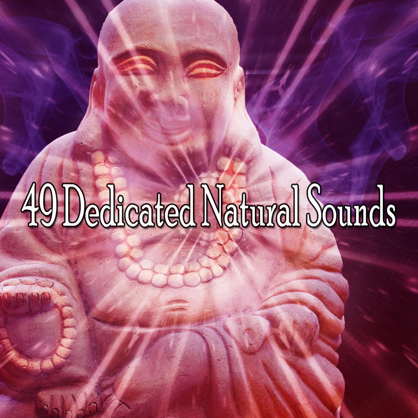 49 Dedicated Natural Sounds