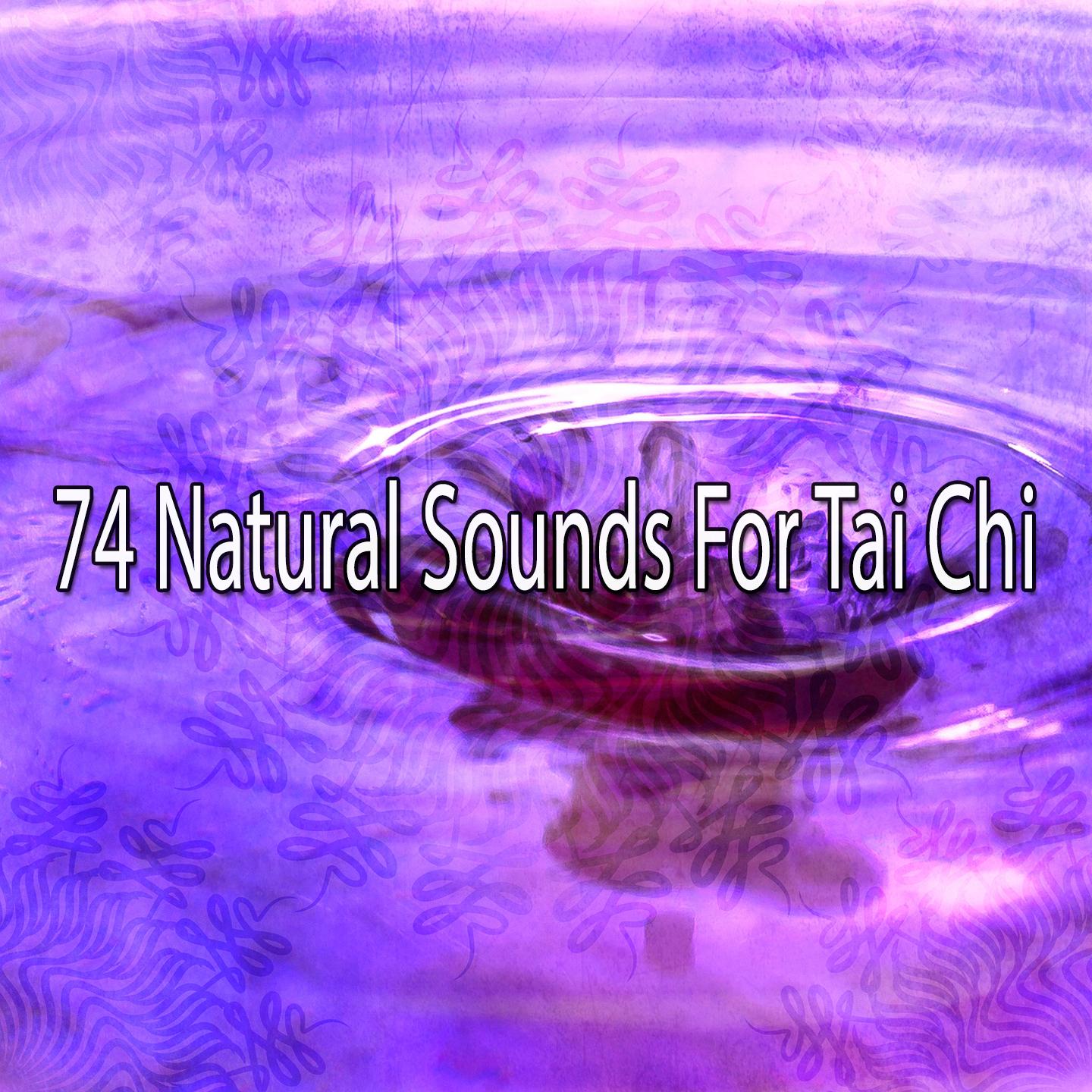 74 Natural Sounds for Tai Chi