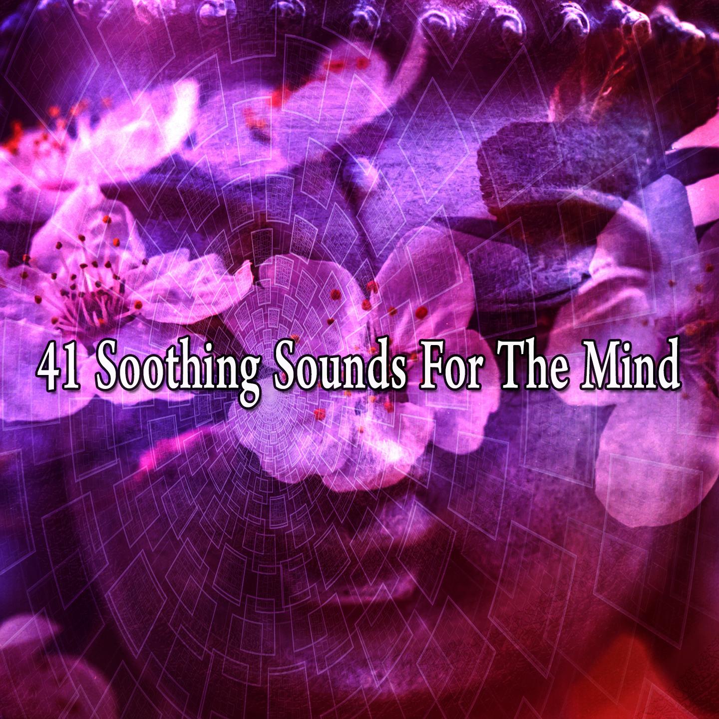 41 Soothing Sounds for the Mind