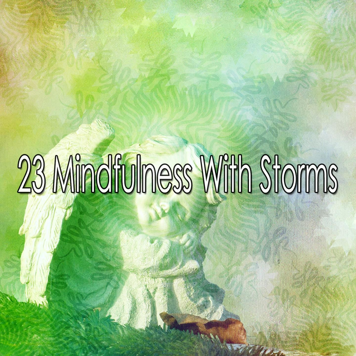 23 Mindfulness with Storms