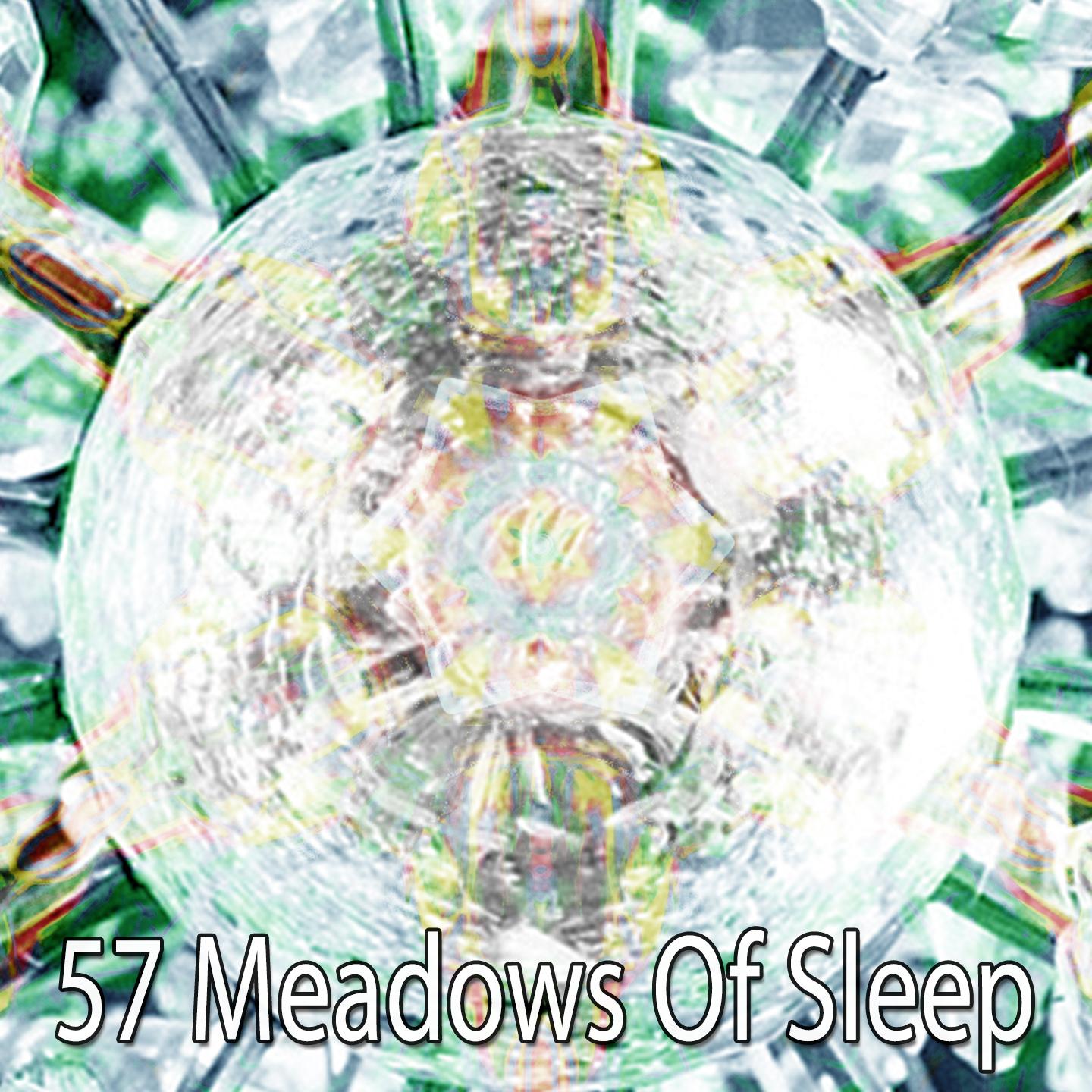 57 Meadows of Sleep