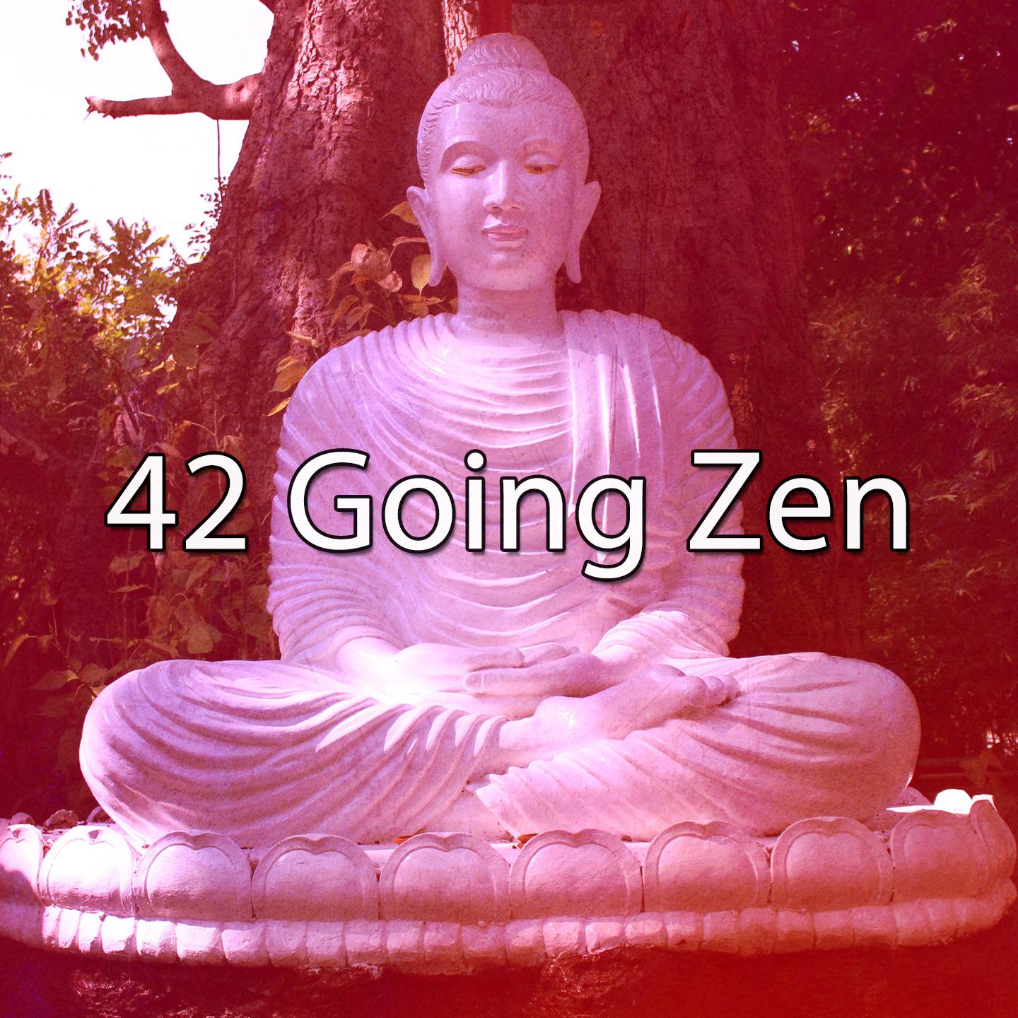 42 Going Zen