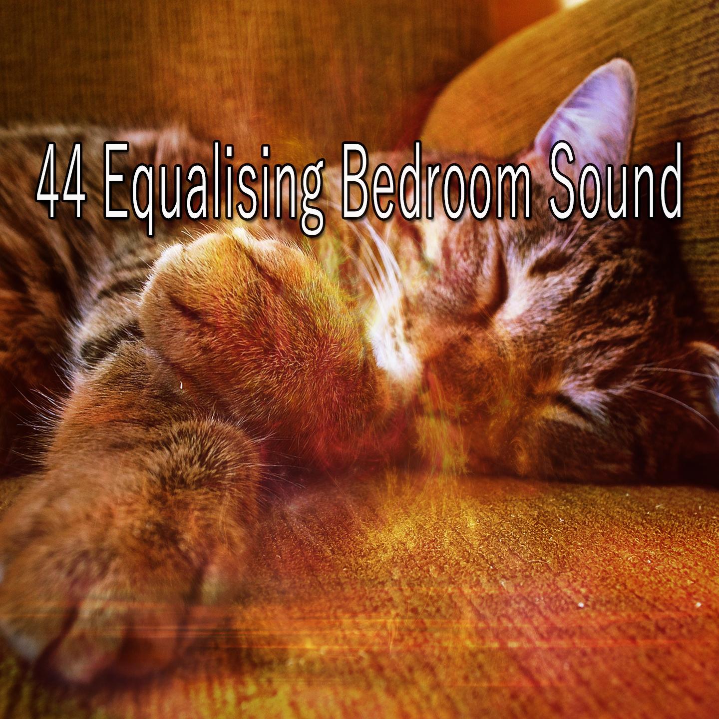 44 Equalising Bedroom Sound
