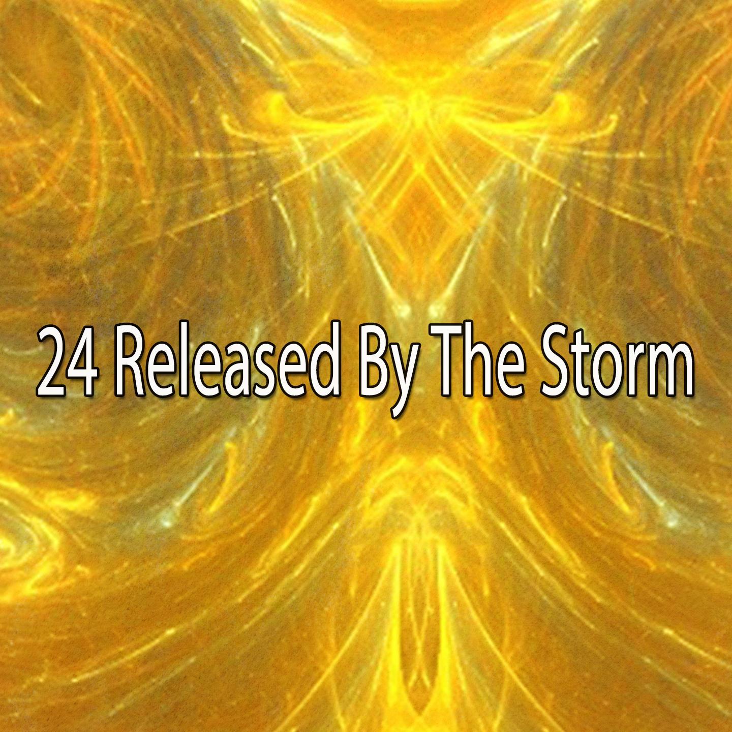 24 Released by the Storm