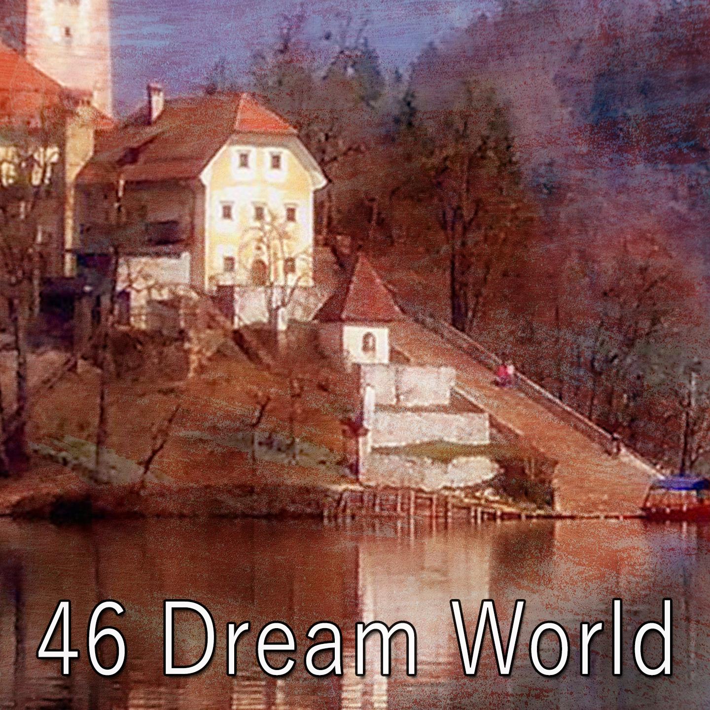 46 Dream World