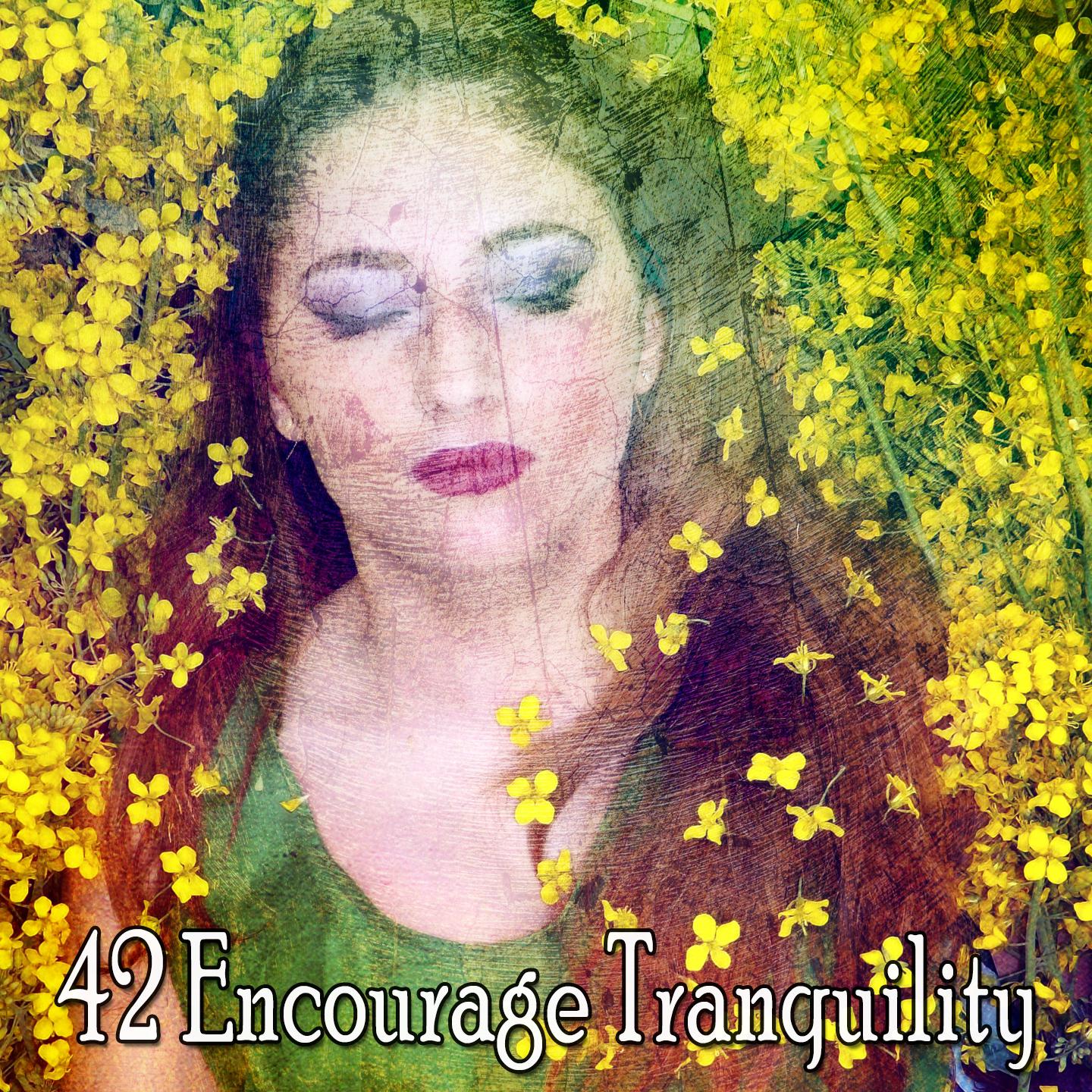 42 Encourage Tranquility