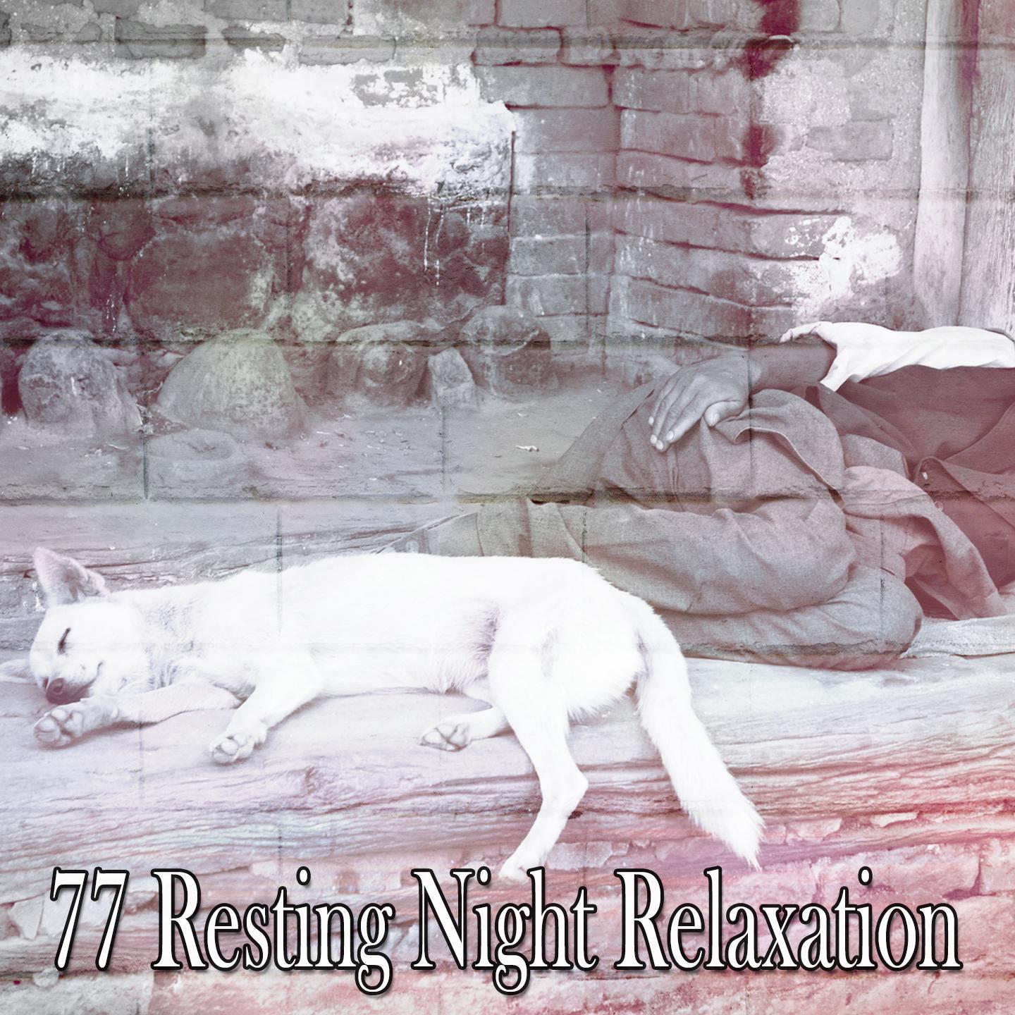 77 Resting Night Relaxation