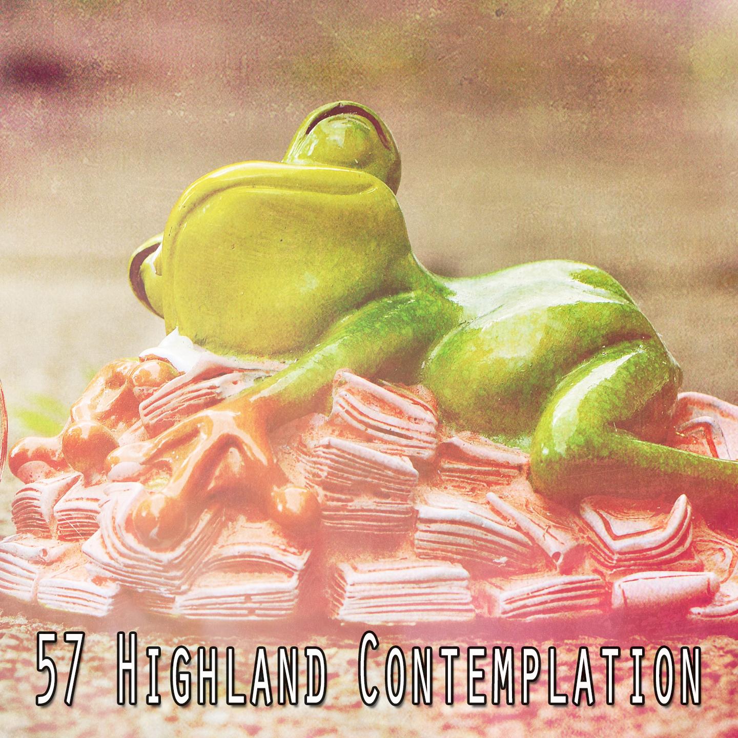 57 Highland Contemplation