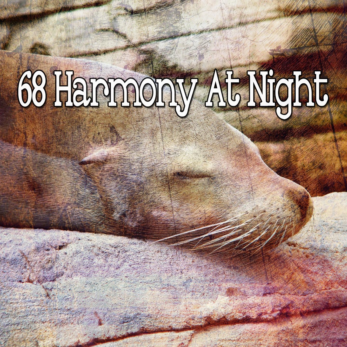 68 Harmony at Night