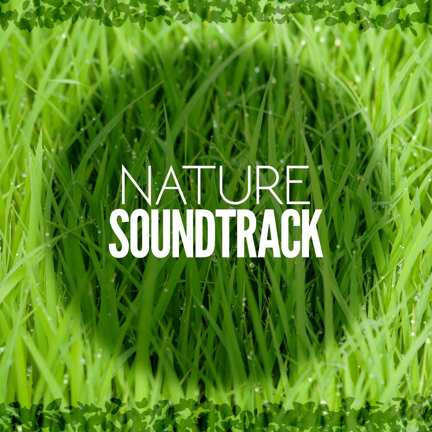 Nature Soundtrack