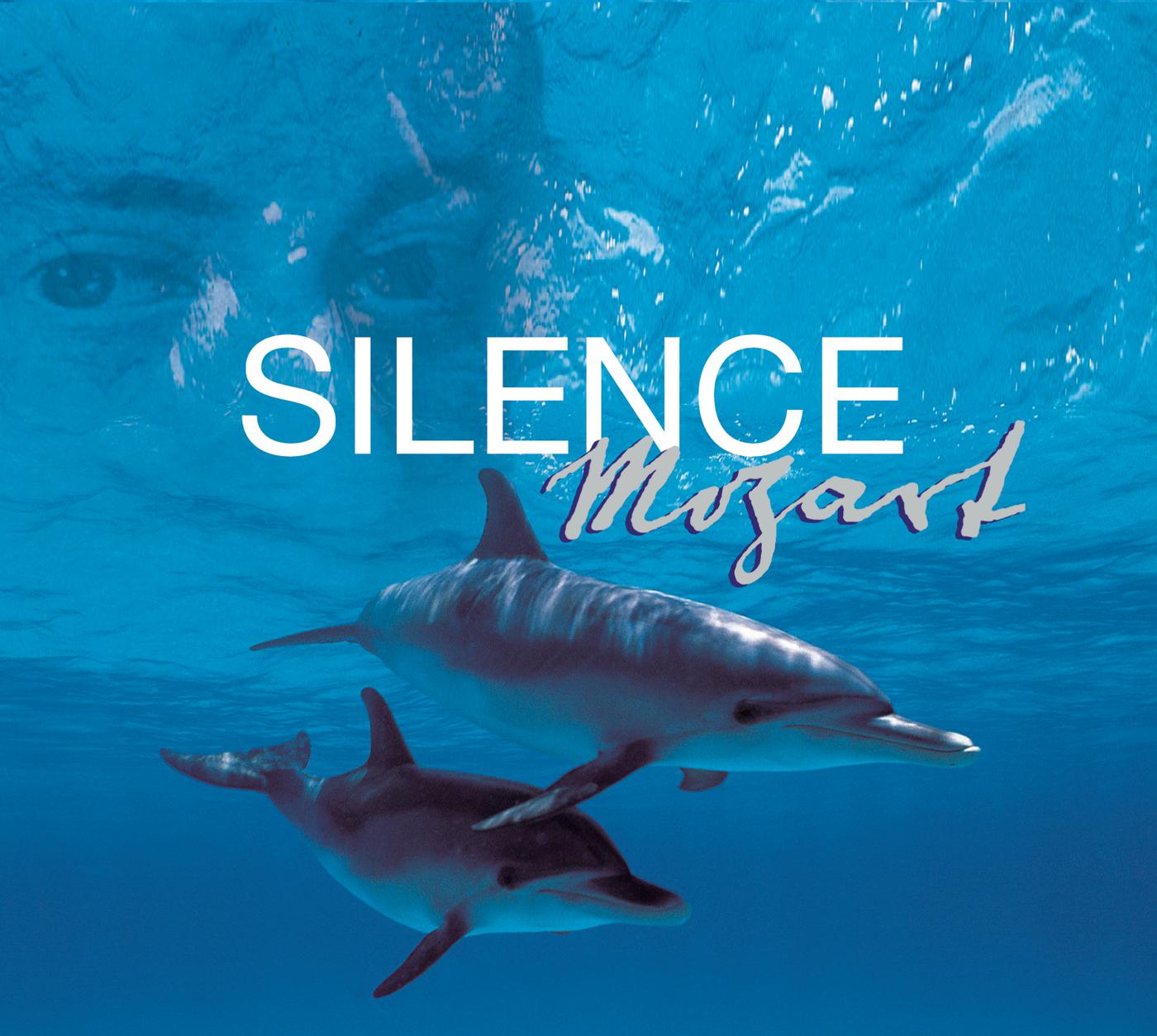 Silence Mozart