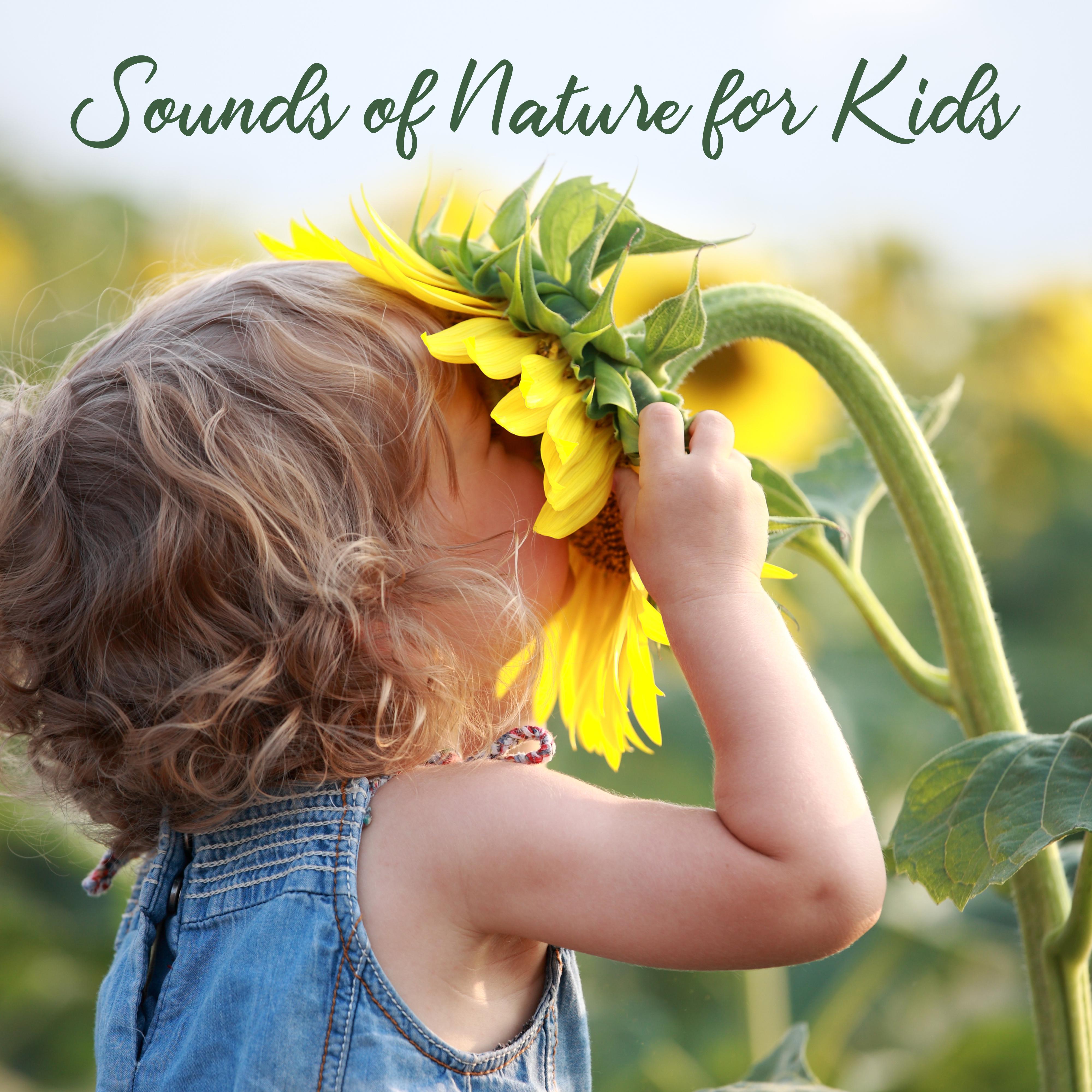 Sounds of Nature for Kids  Soothing Nature Sounds, Deeper Sleep for Baby, Zen, Bedtime Baby, New Age Lullabies at Night, Relaxing Music