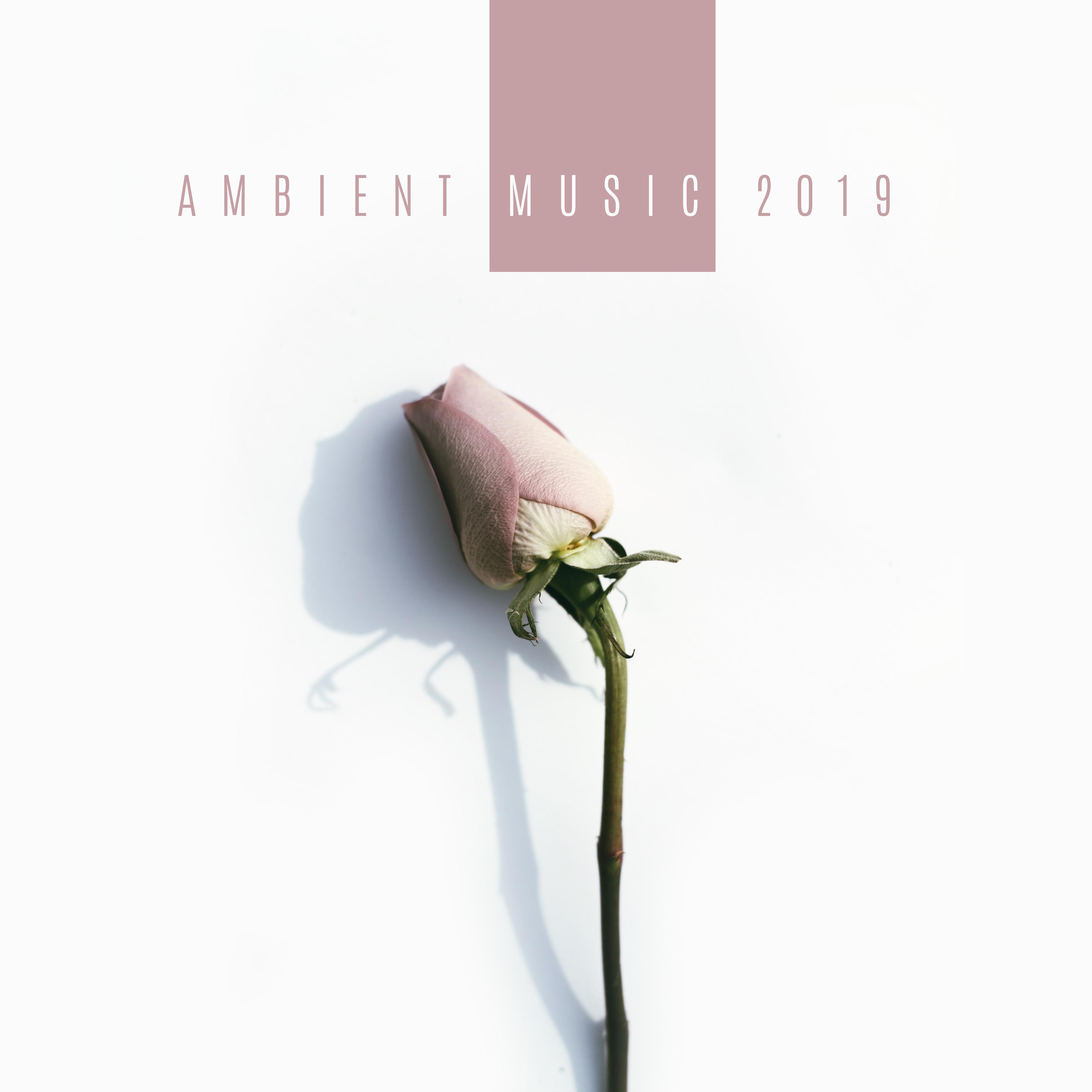 Ambient Music 2019  Calming Sounds for Yoga, Meditation, Relaxation, Sleep, Massage, Zen, Lounge Music, Relaxing Music Therapy, Music Zone, Nature Sounds