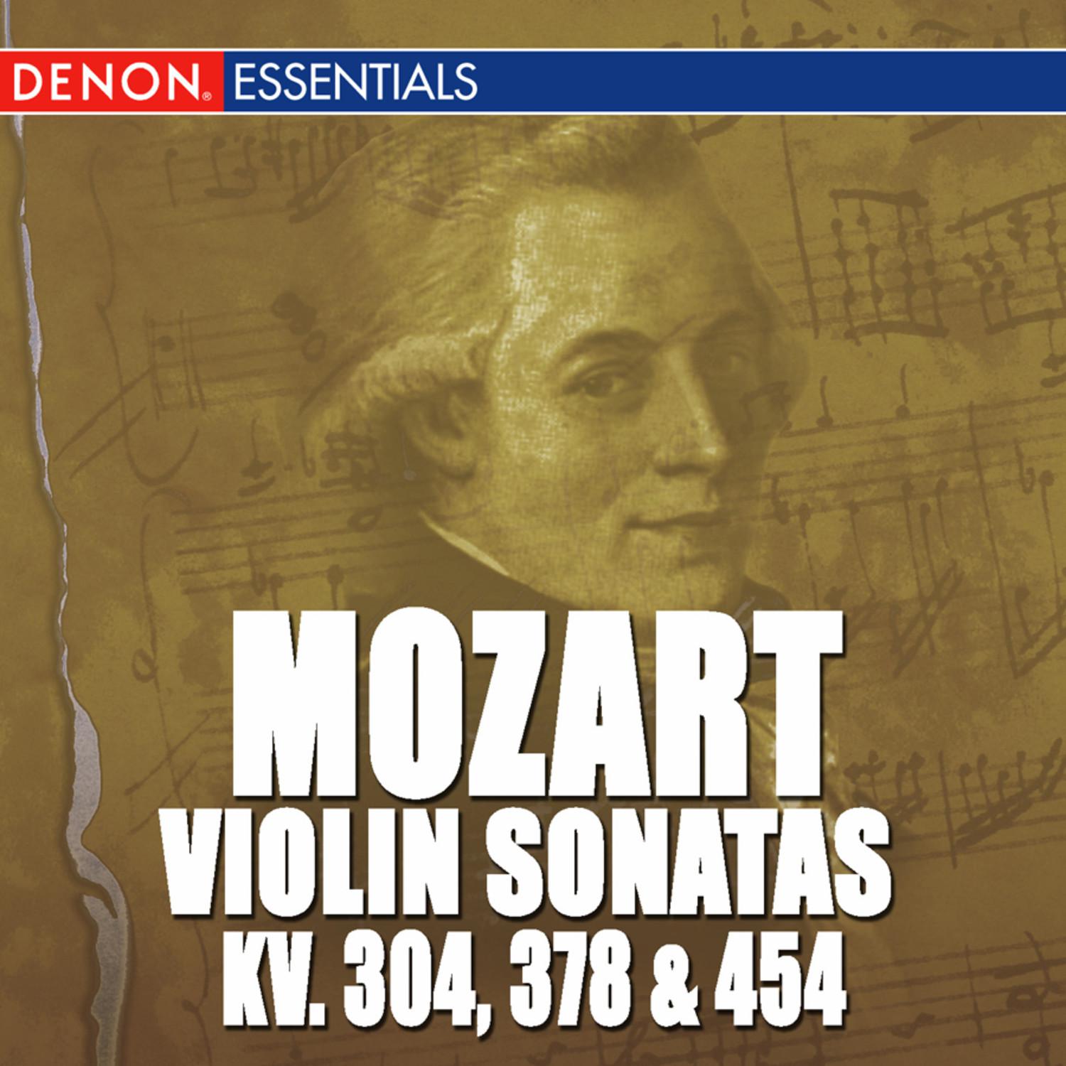 Sonata for Violin & Piano in B-Flat Major, K. 378: II. Andantino