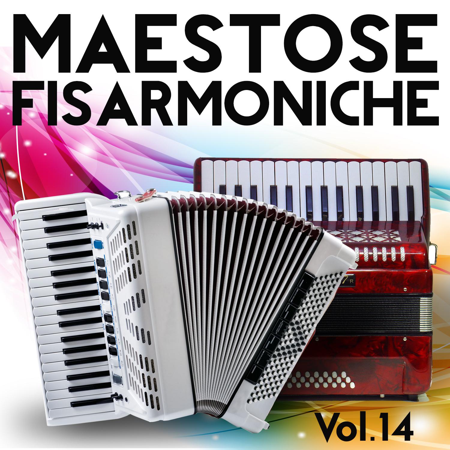 Maestose Fisarmoniche Vol. 14