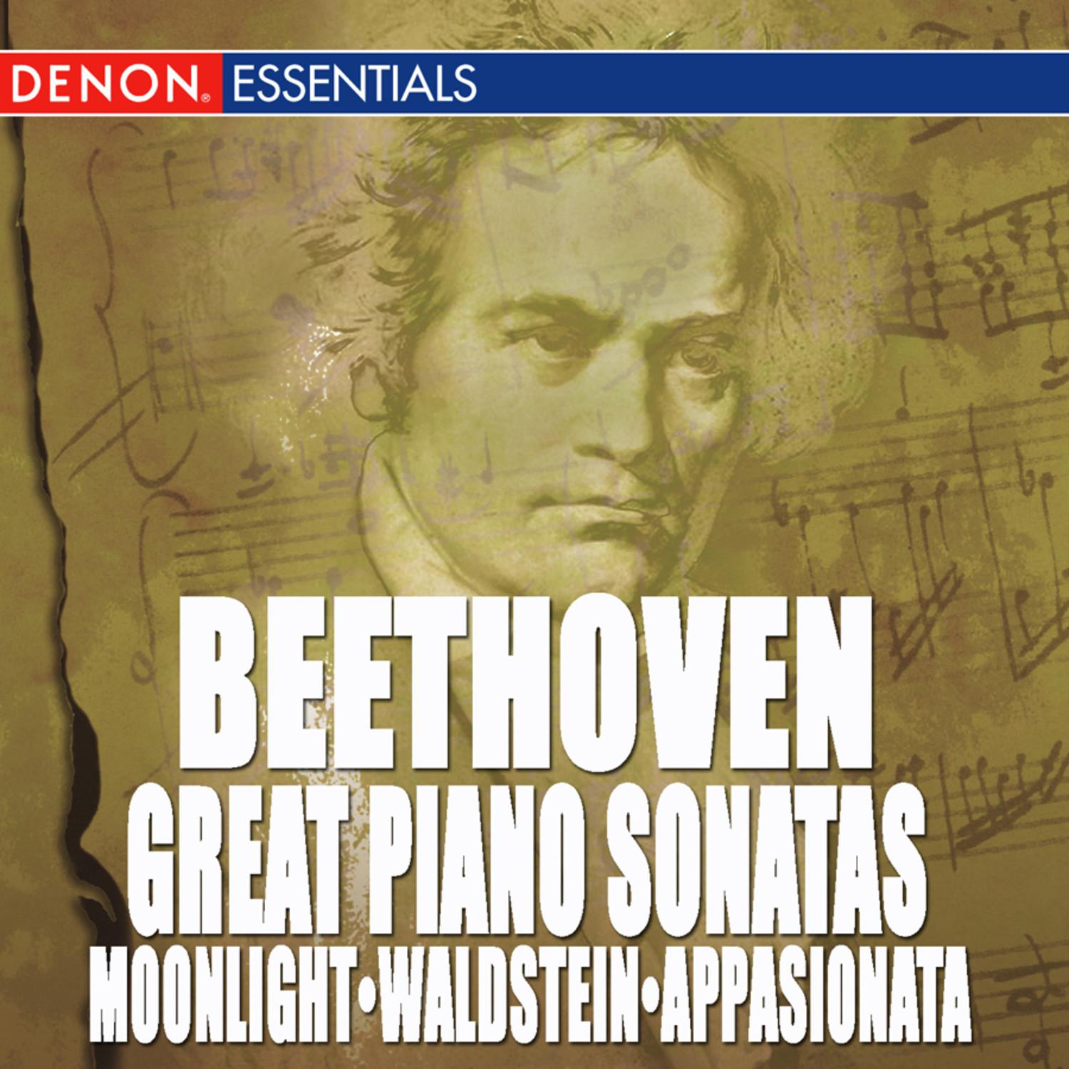 Beethoven: The Great Piano Sonatas