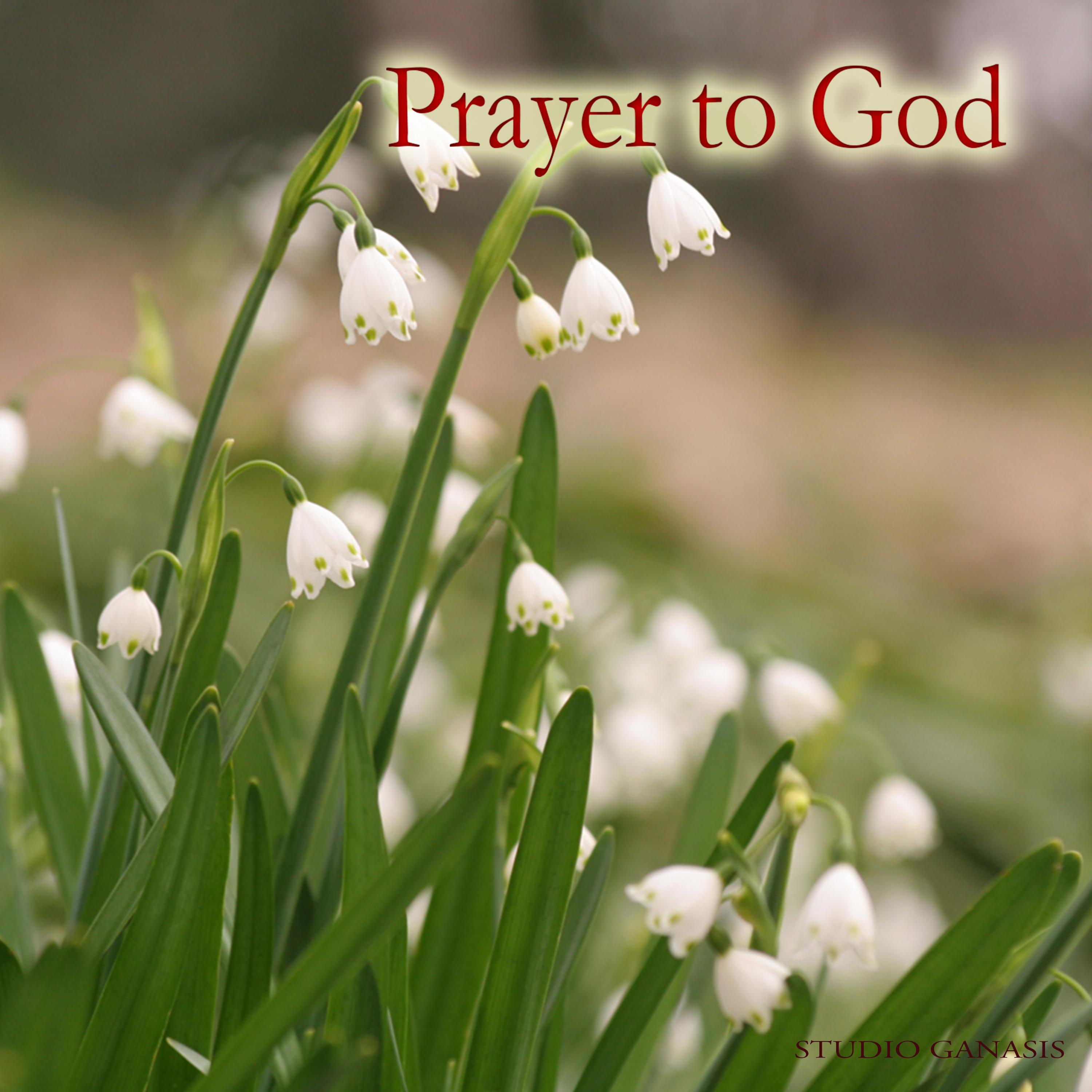 Prayer to God