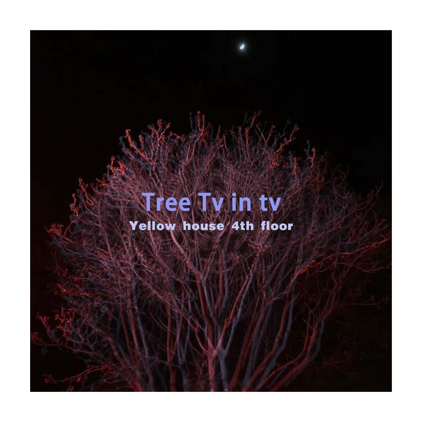 Tree Tv In Tv