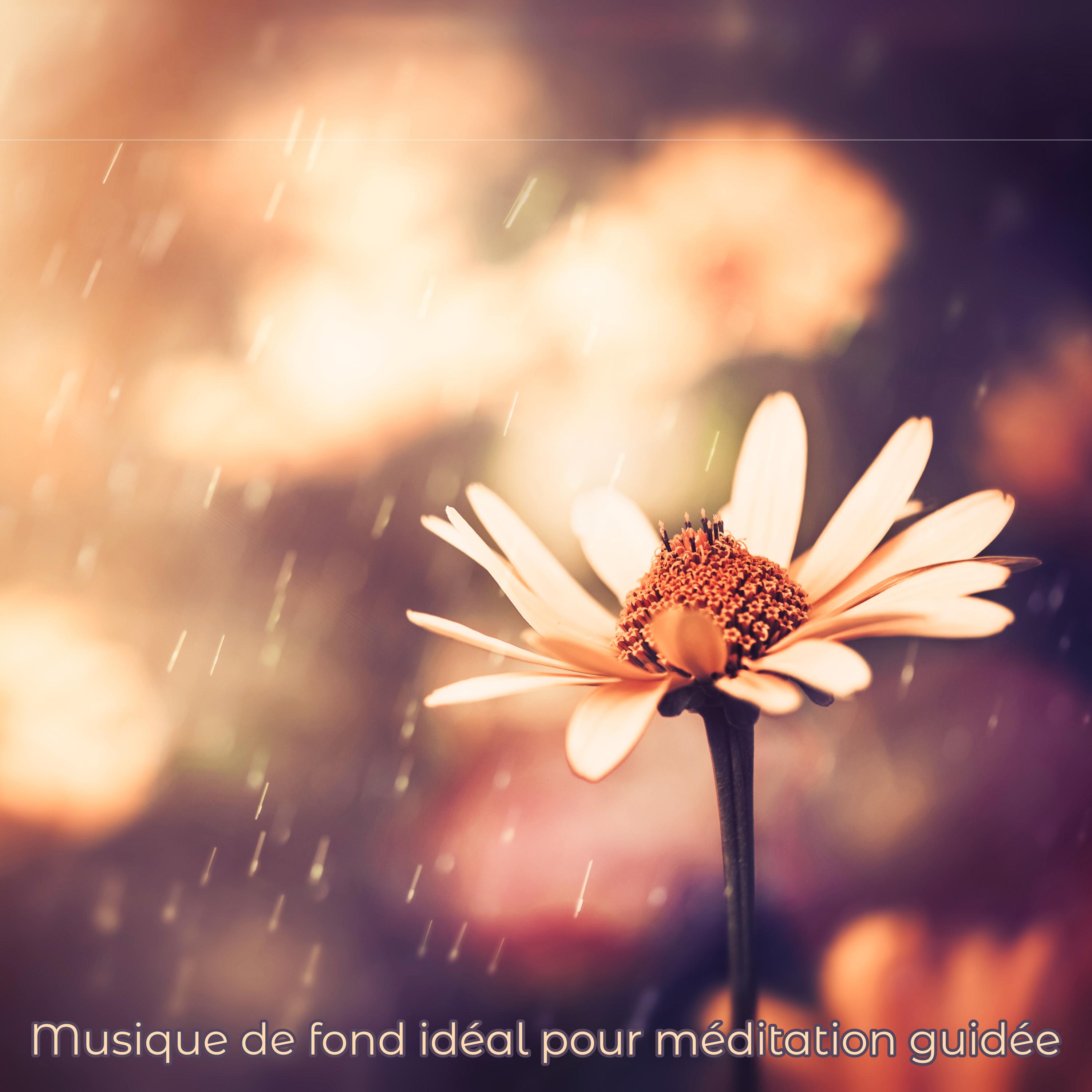 Musique de fond ide al pour me ditation guide e  Chanson relaxante pour e veiller images agre ables comme un beau paysage ou un souvenir apaisant et se de tendre