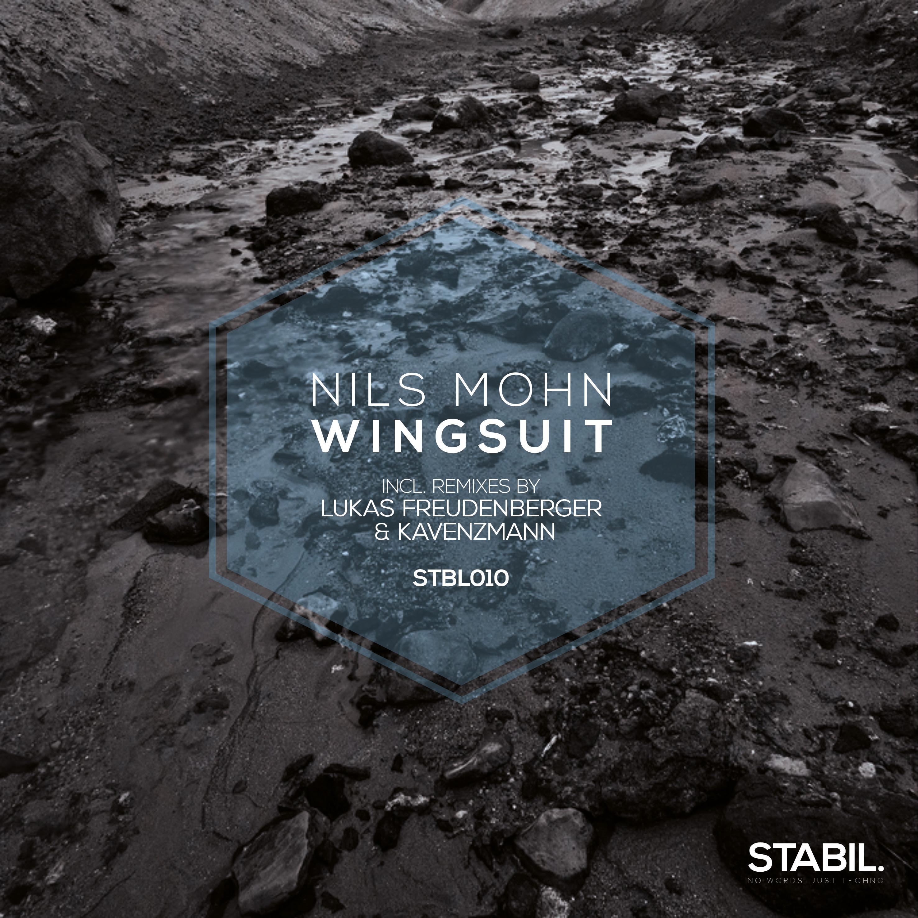 Wingsuit