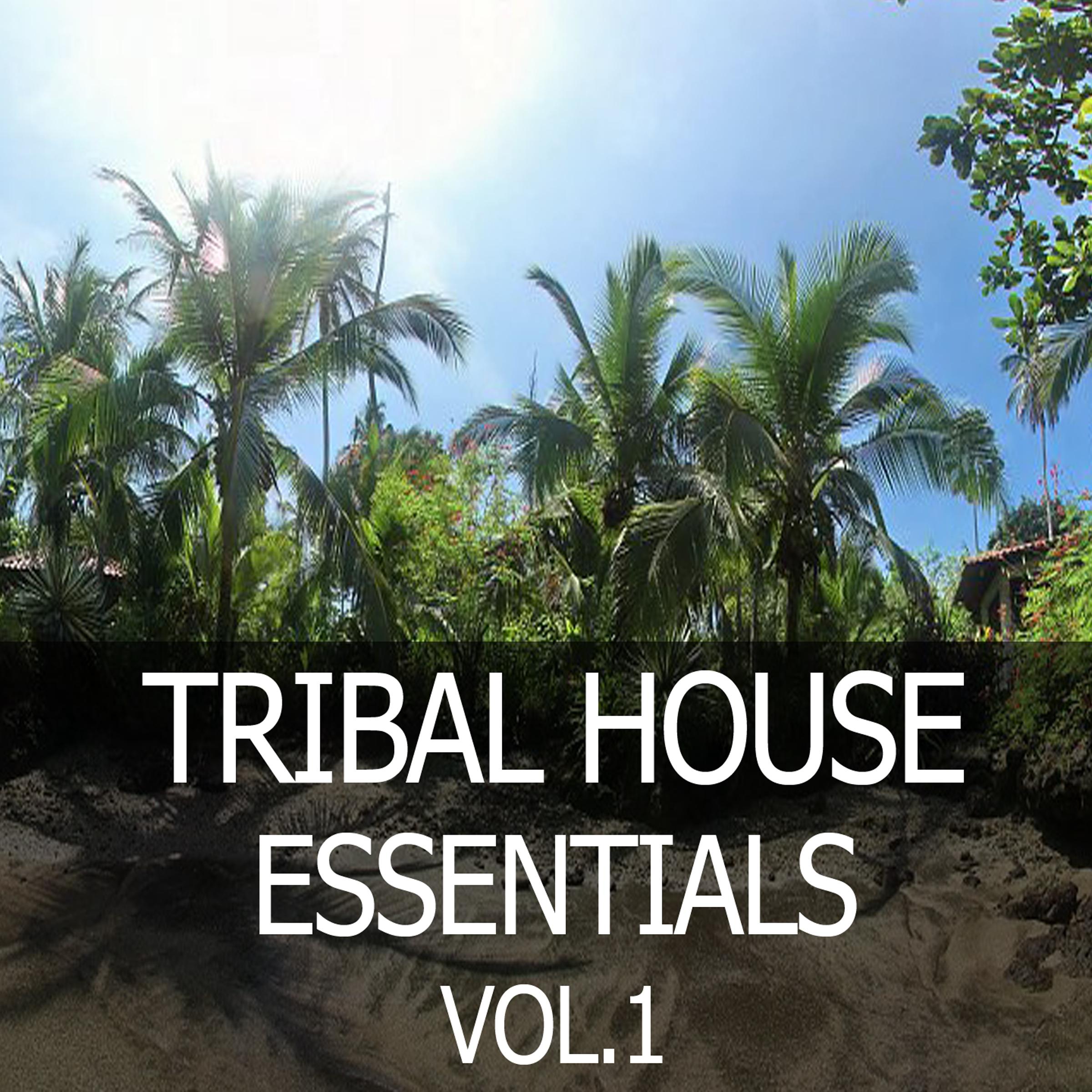 Tribal House Essentials, Vol. 1