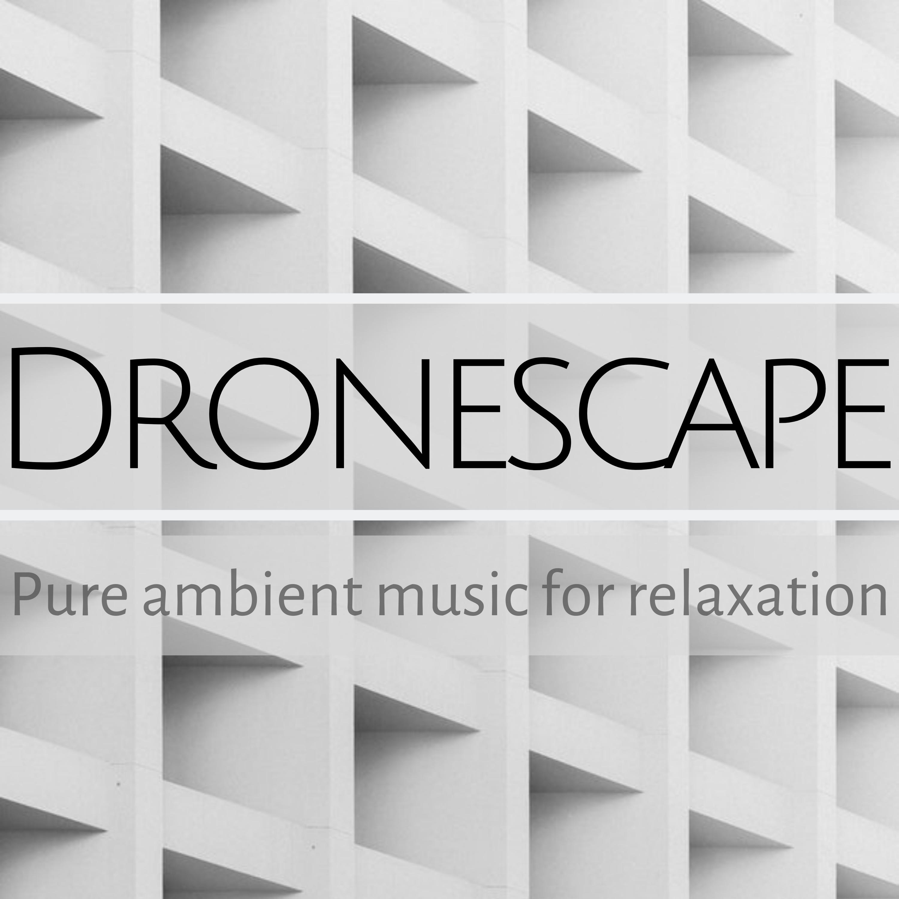 Dronescape